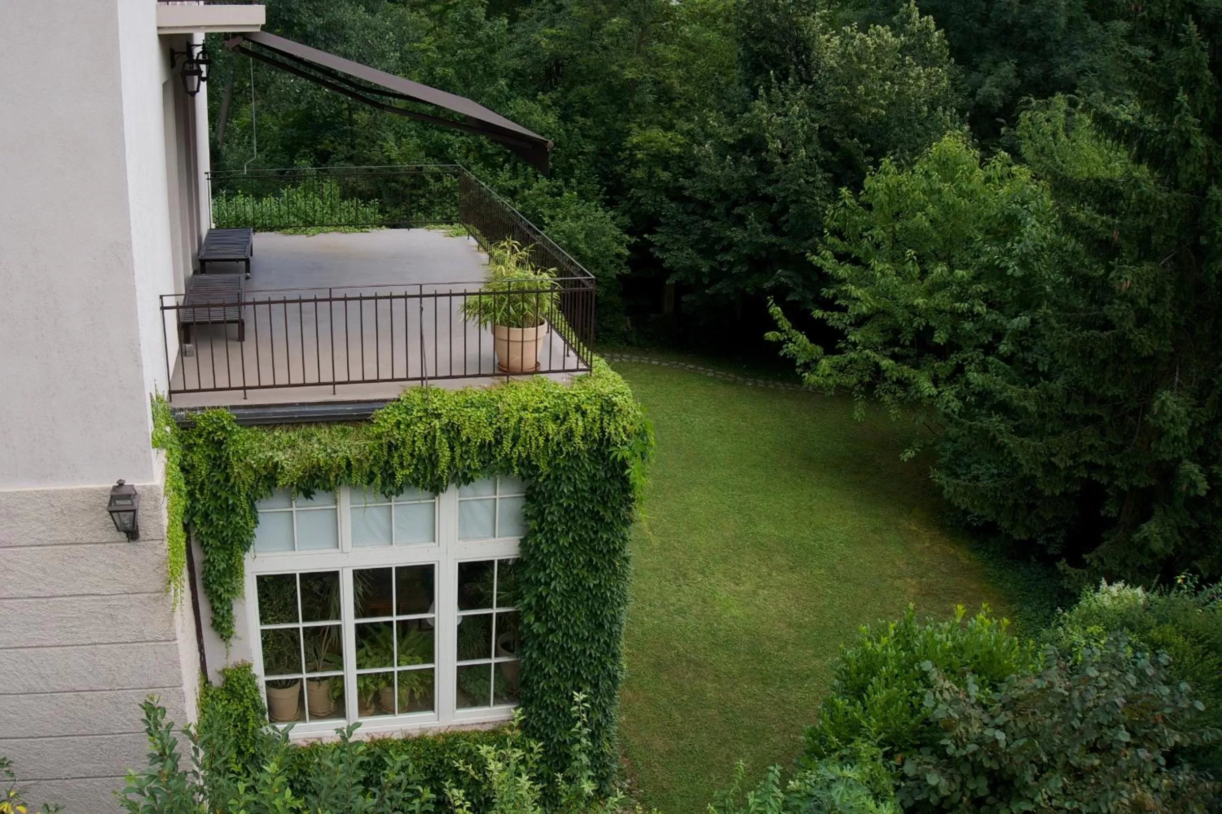 Garden in Embassy Row BnB
