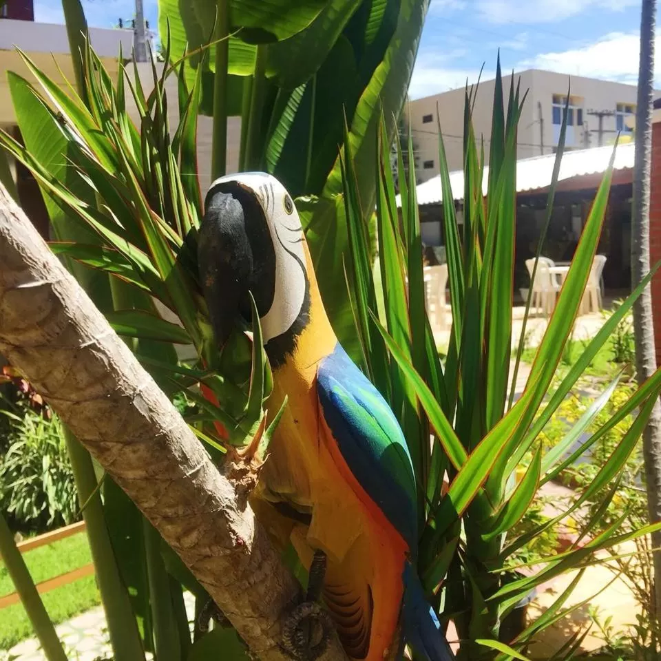 Pousada Costa Tropical