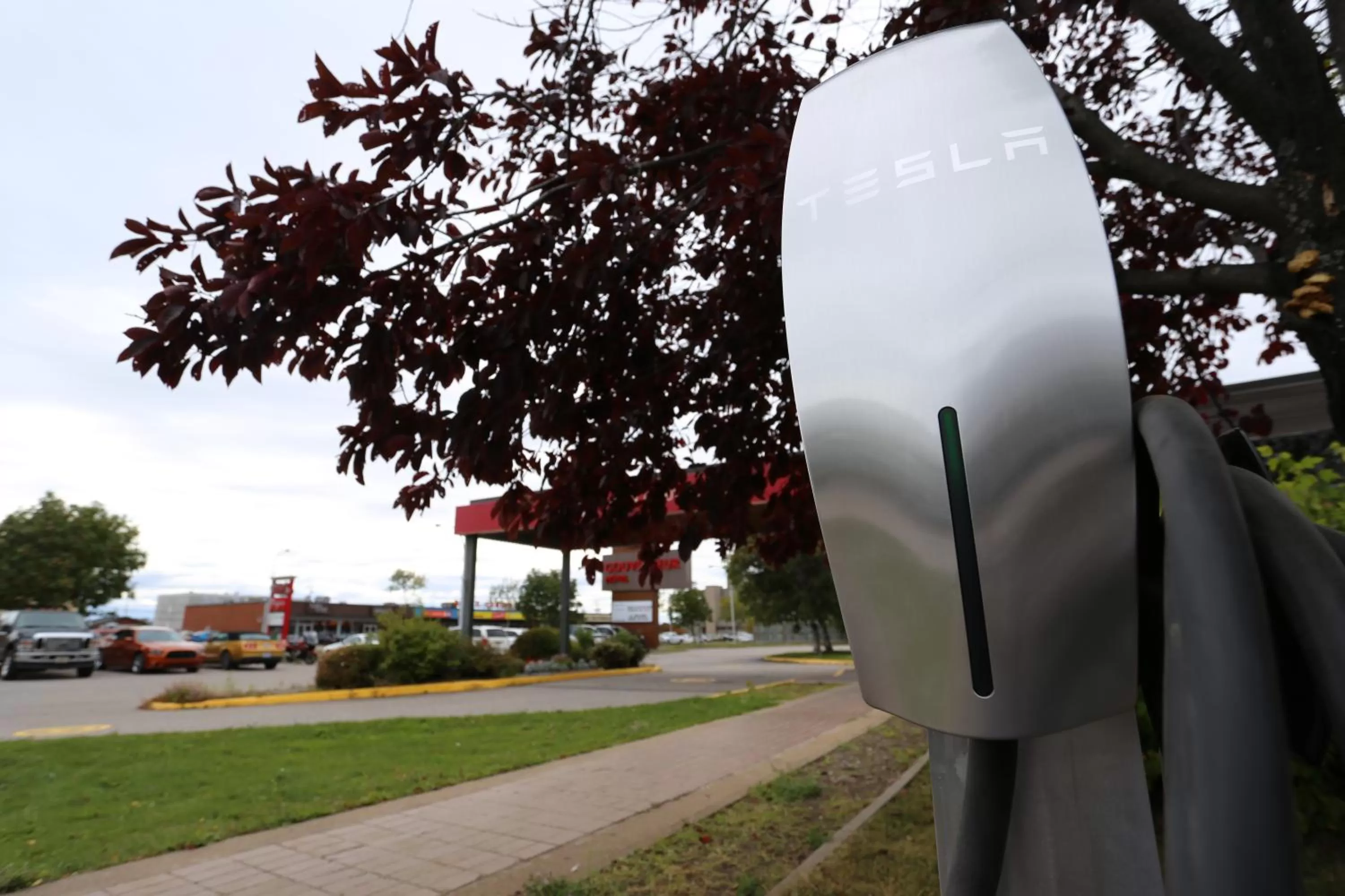 Area and facilities in Hôtels Gouverneur Sept-Îles