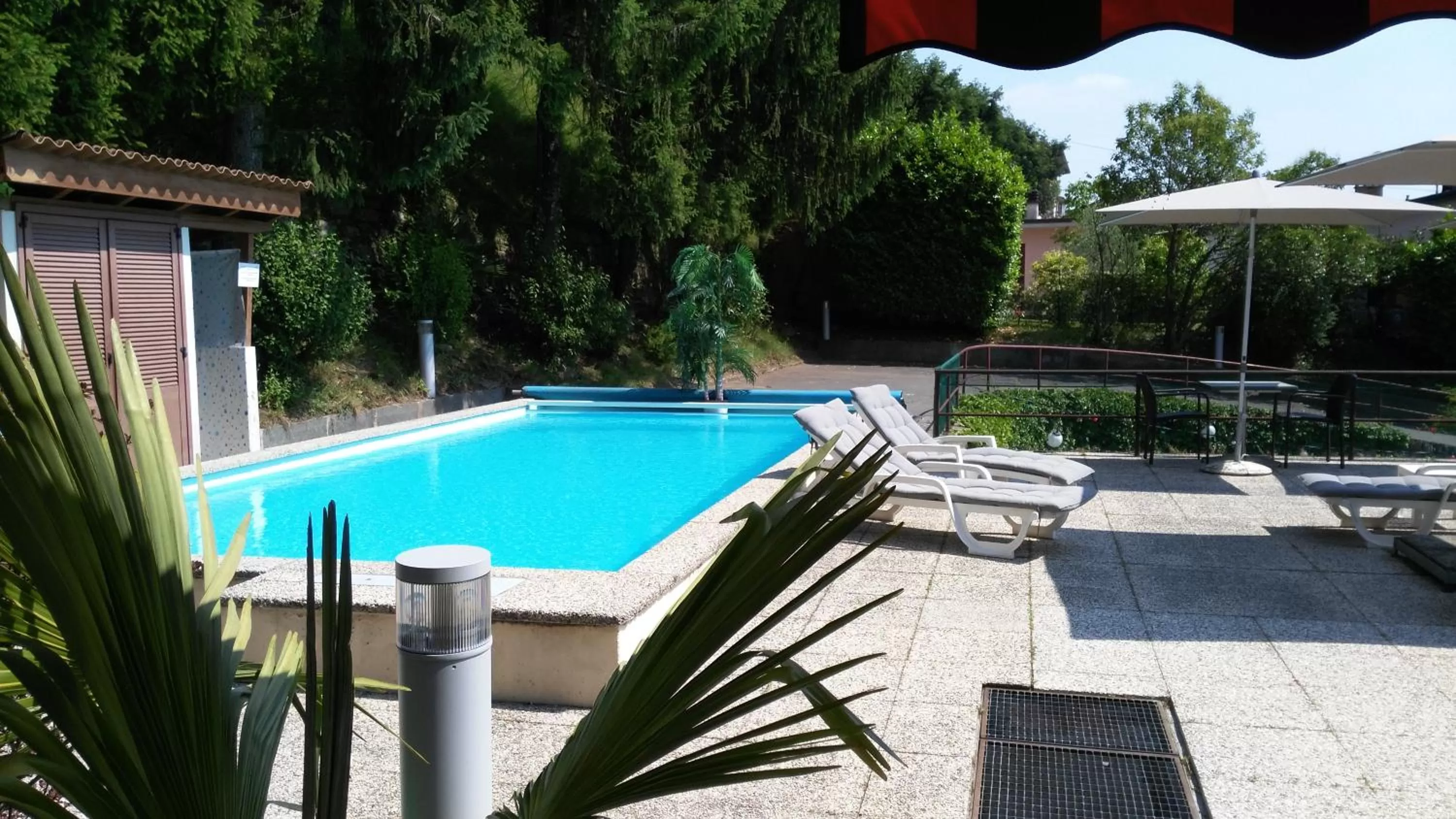 Swimming pool in Hotel Morgana