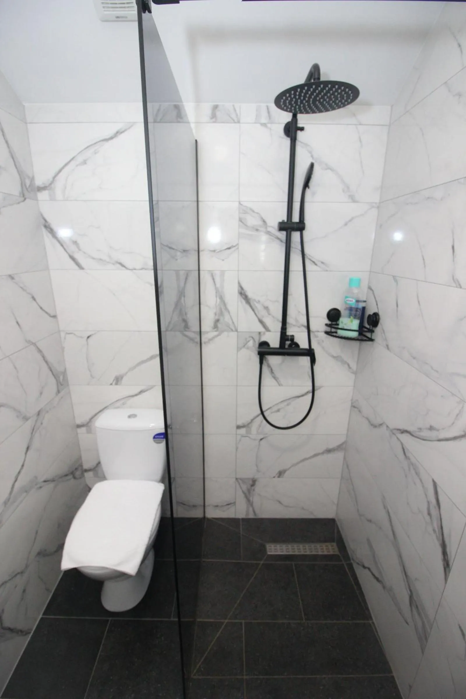 Shower, Bathroom in Motel Deny