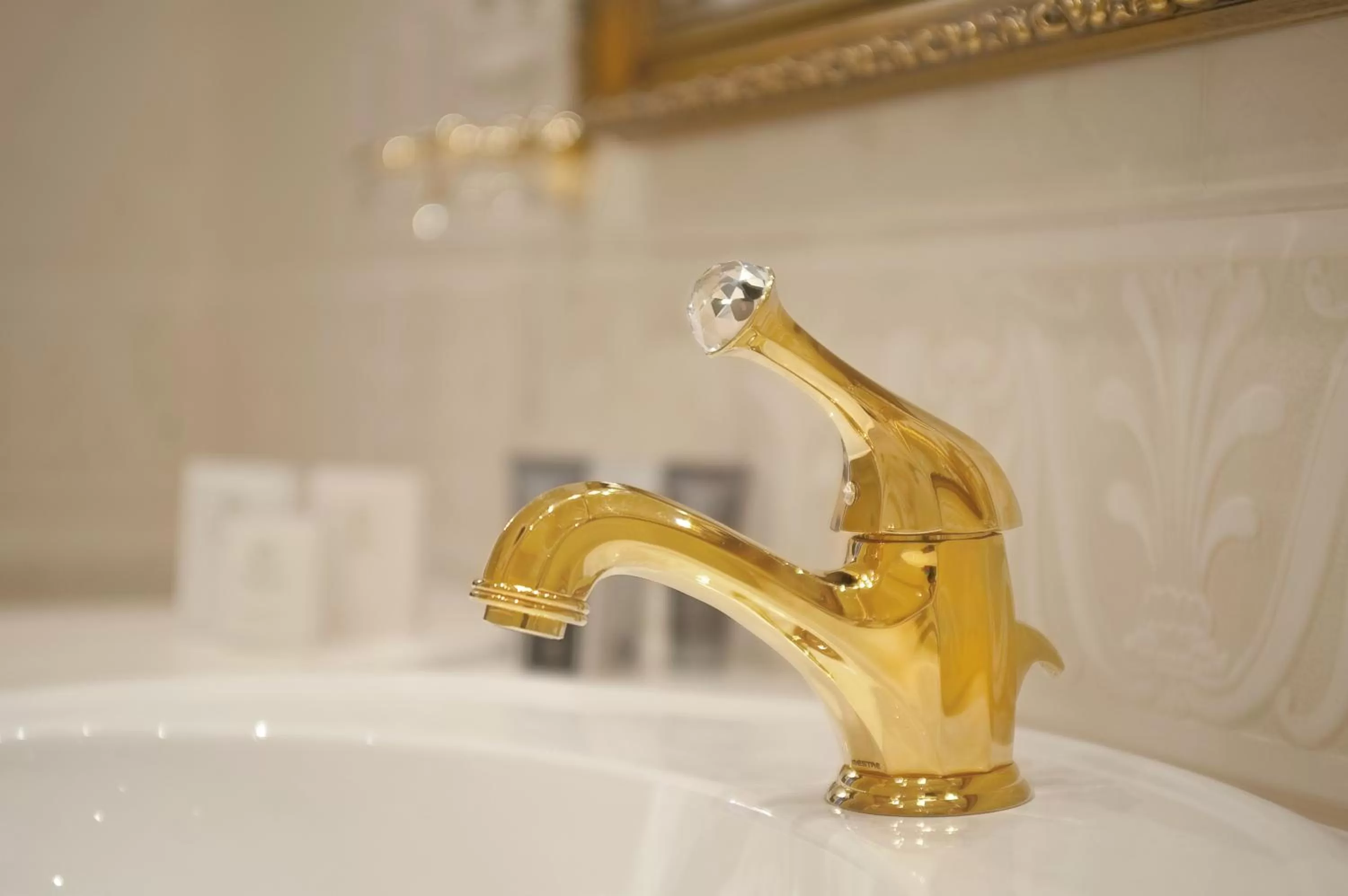 Decorative detail, Bathroom in Villa le Premier Maestro