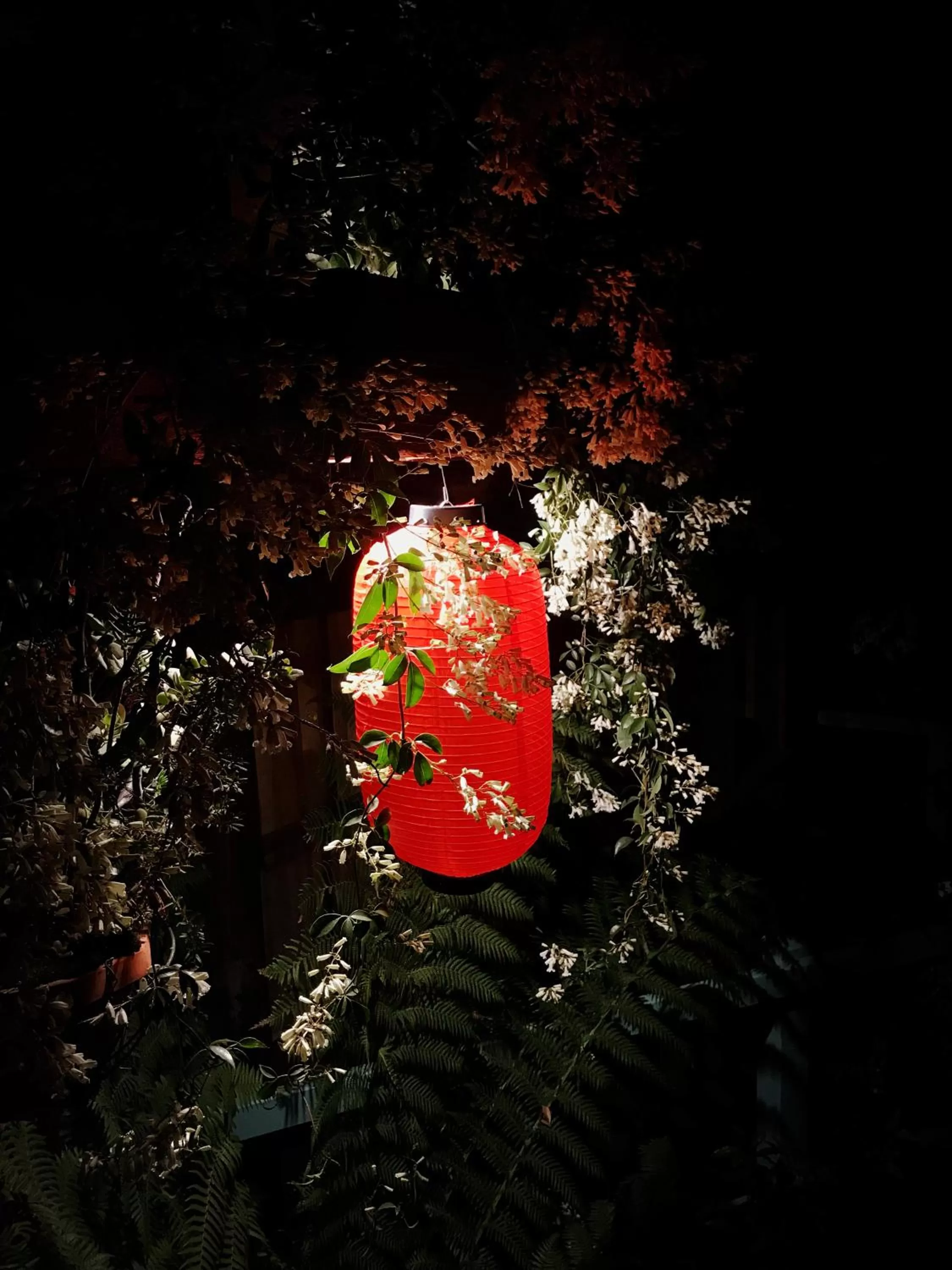 View (from property/room) in The Goat and Goose Bed & Breakfast