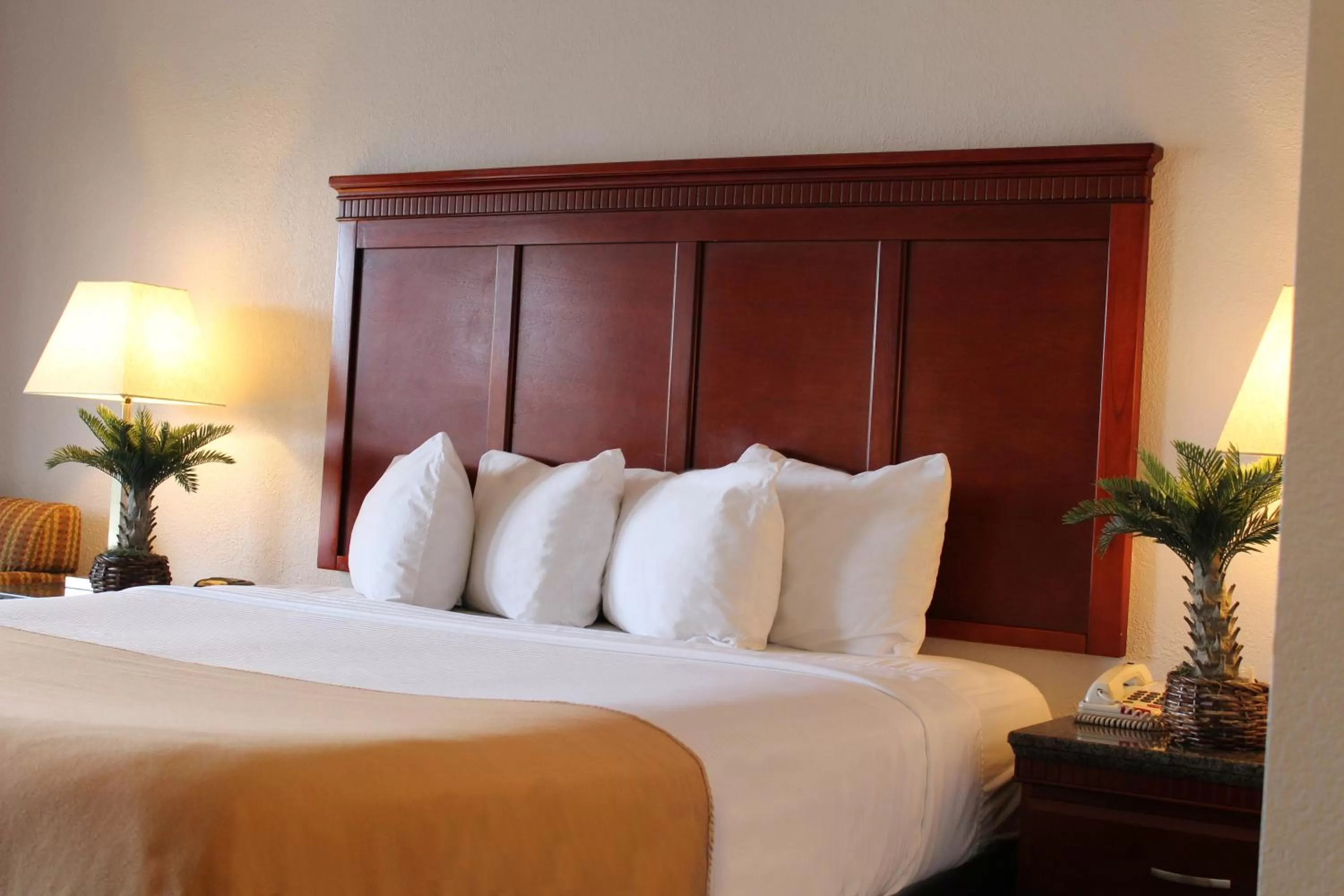 Bed in Rodeway Inn Santa Clara El Camino Real