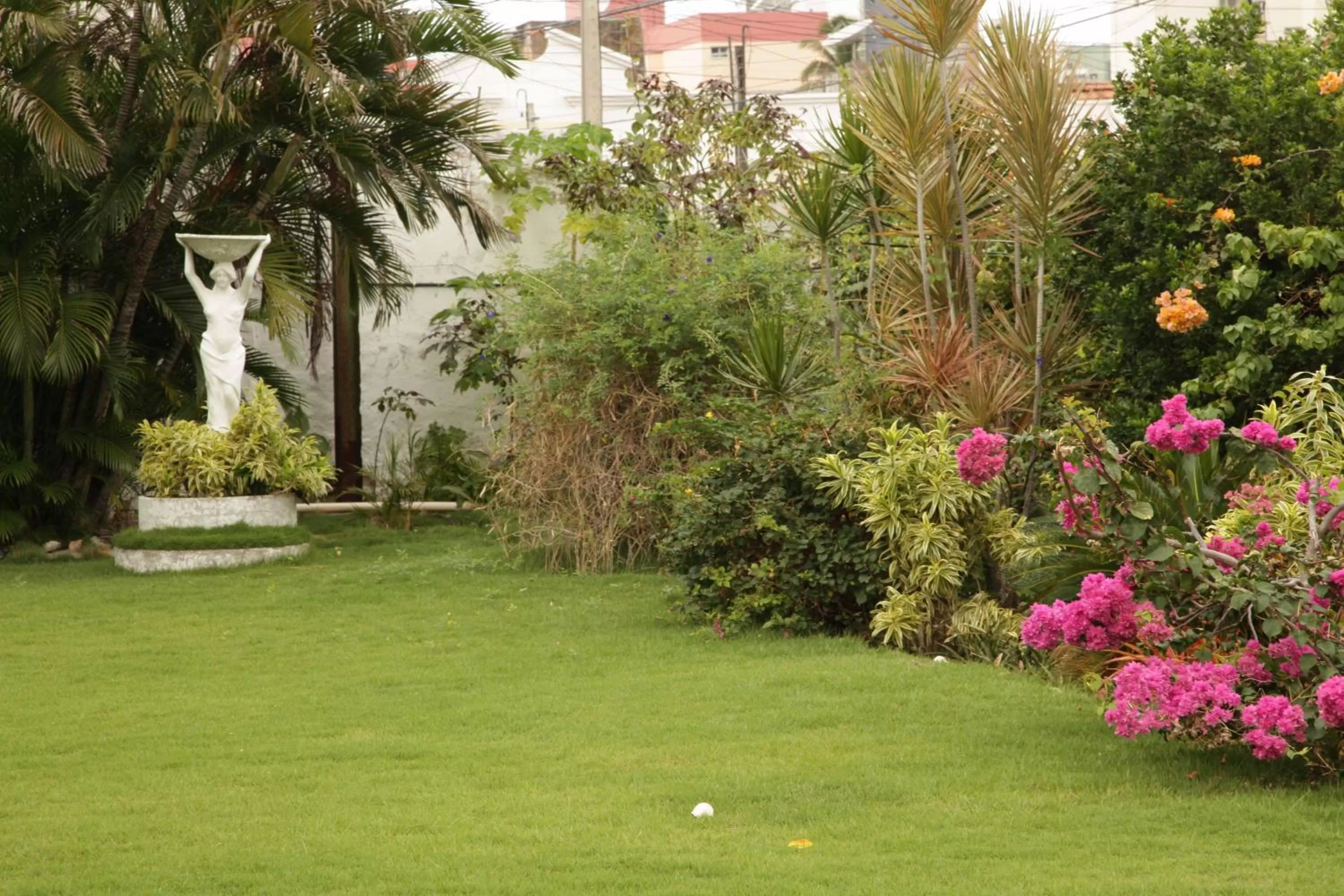 Day, Garden in Hotel Jardim