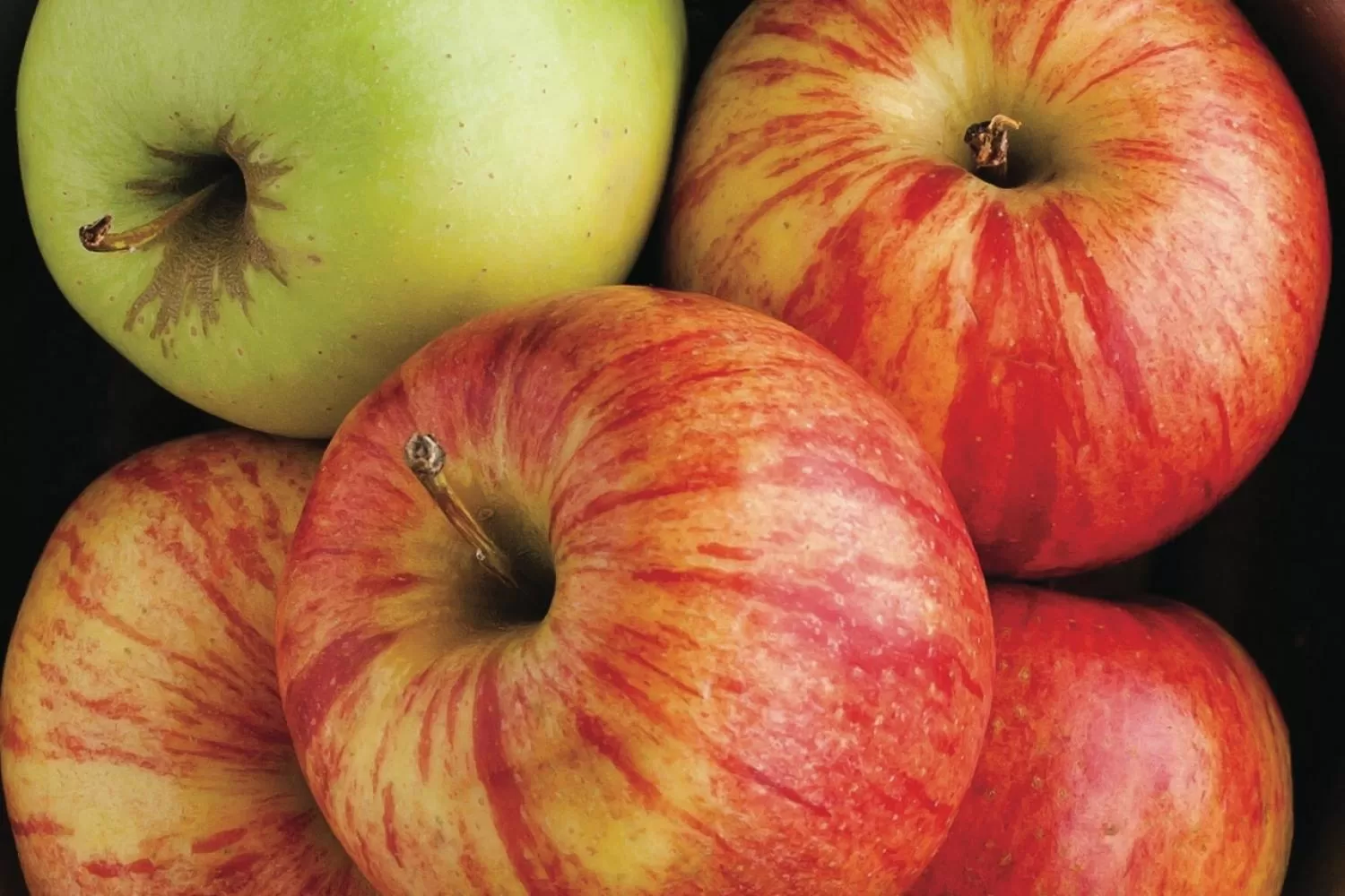 Food and drinks in Microtel Inn & Suites by Wyndham Springfield