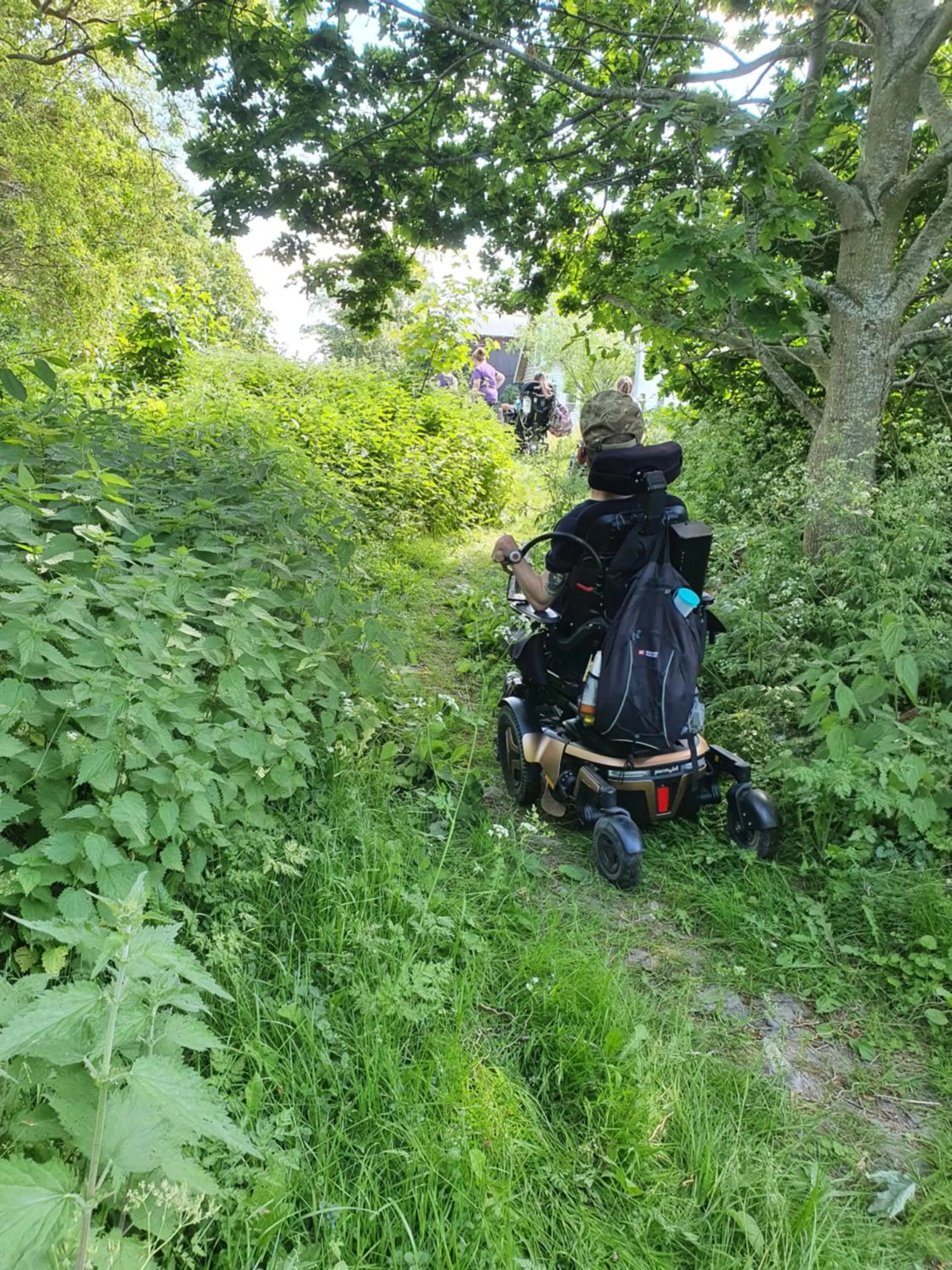 Natural landscape in Skortskær Bondegårdsferie