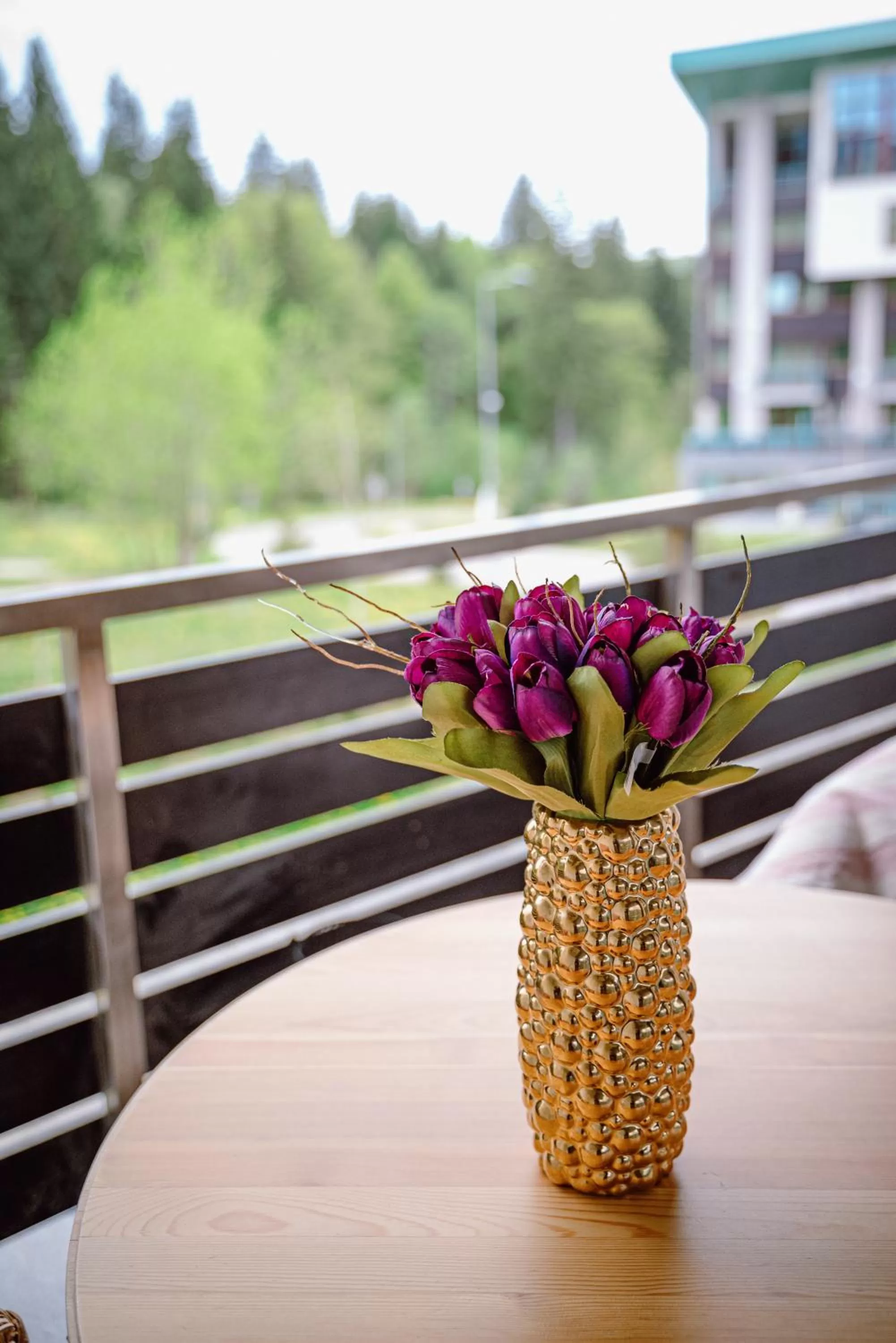 View (from property/room) in Silver Mountain Resort & Spa