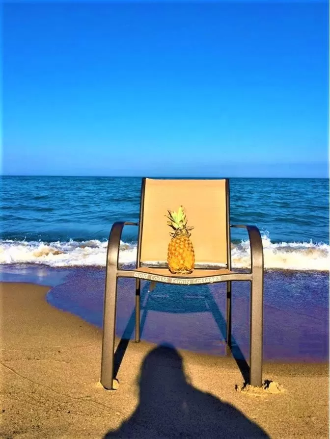 Day in Gold Coast Family Cottages