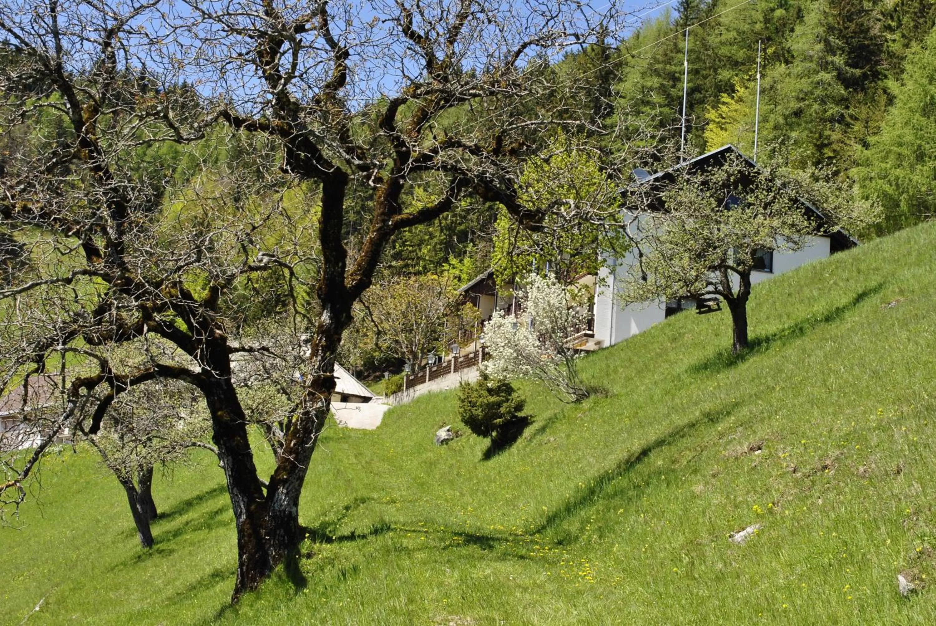 Property building in Bed&Breakfast Lausegger