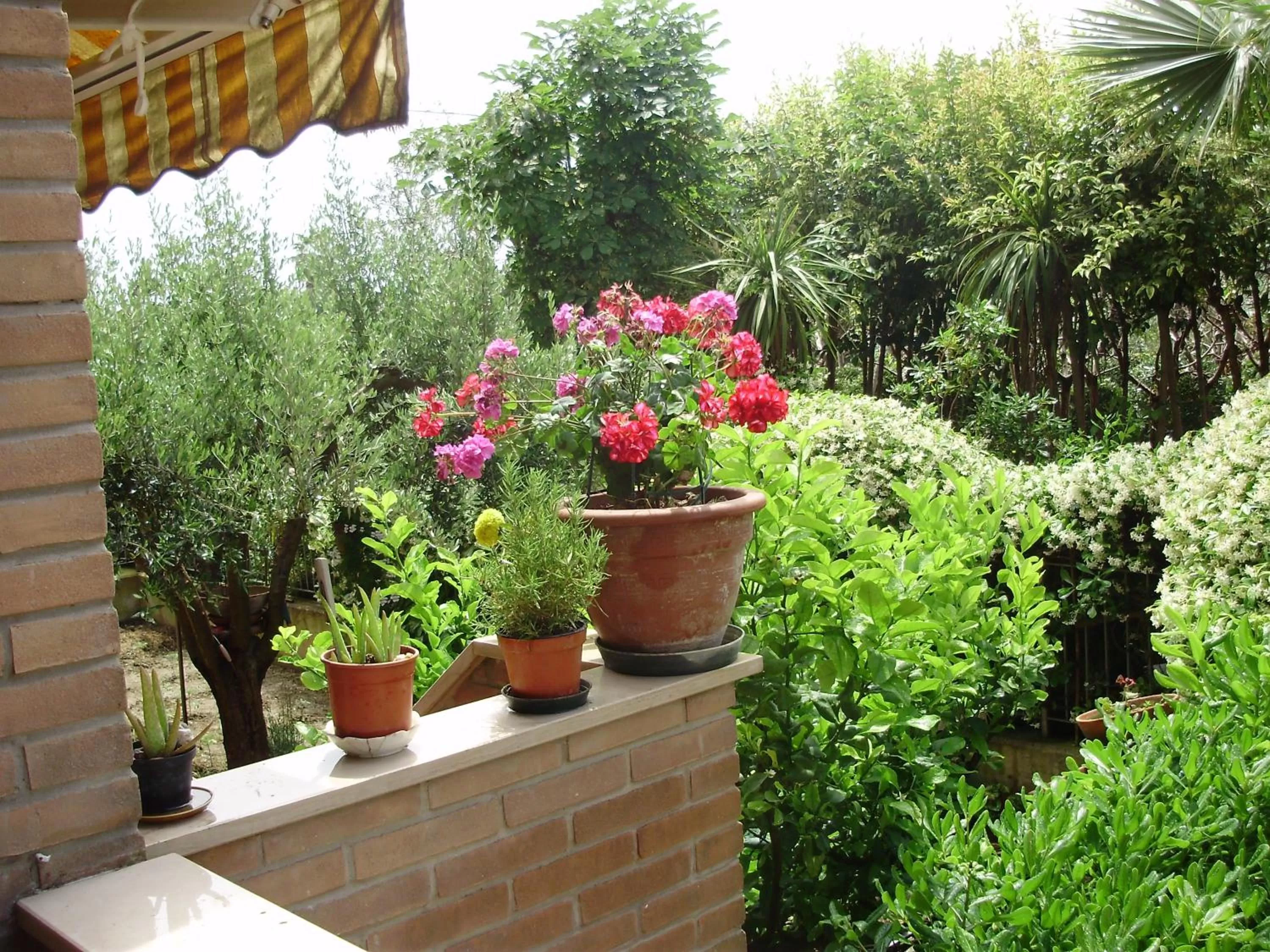 Garden view in B&B Le Palme