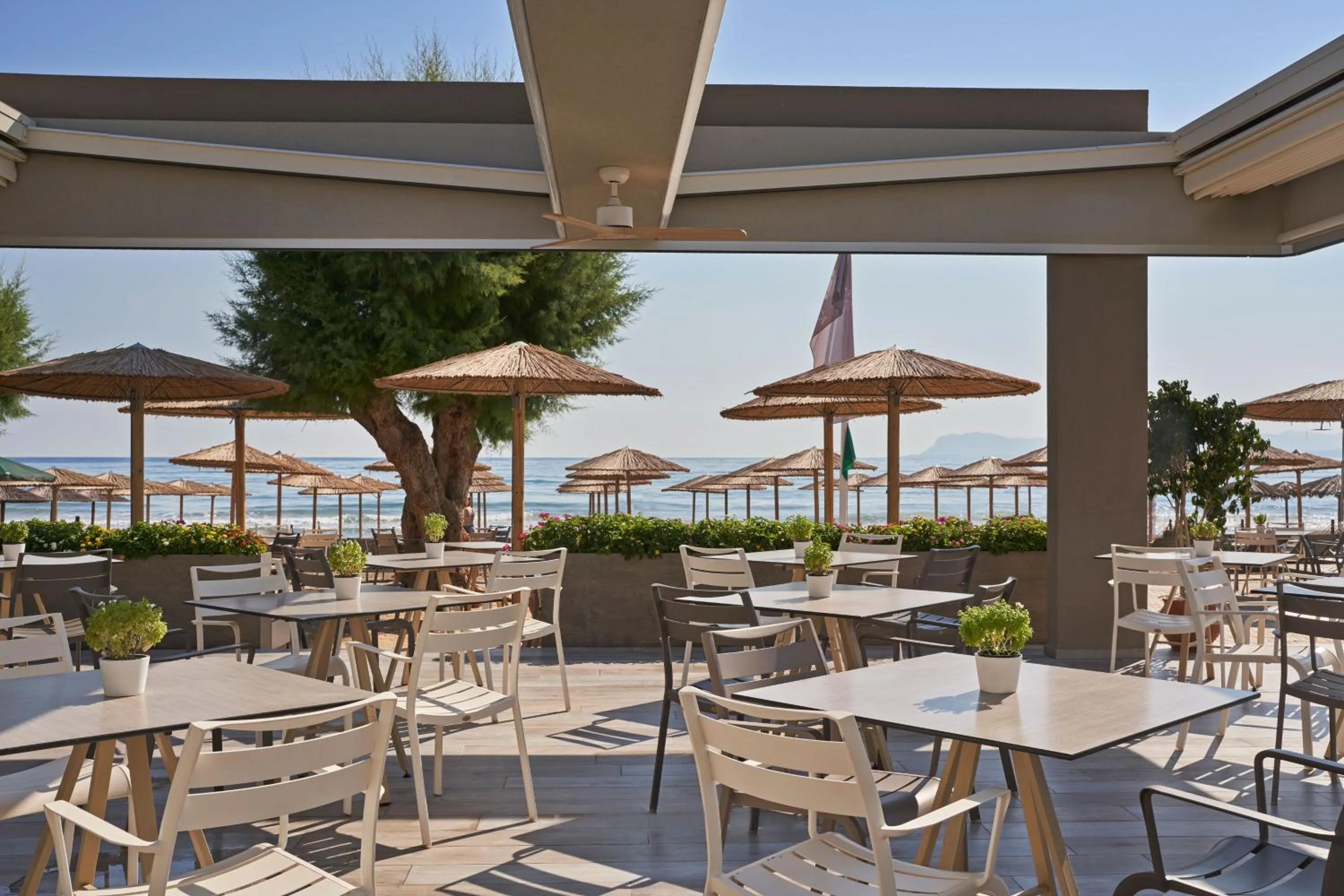 Restaurant/places to eat in Atlantica Amalthia Beach Hotel - Adults Only