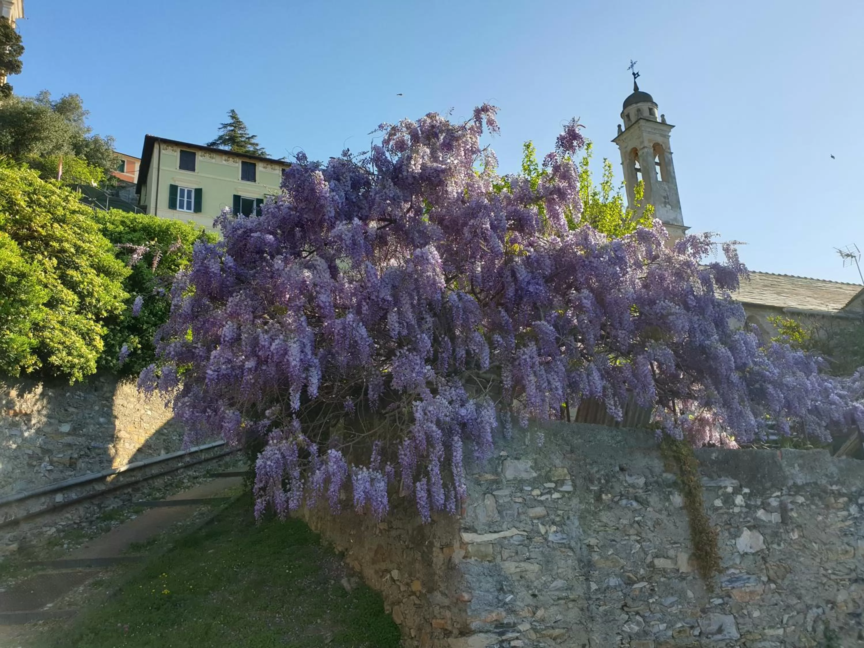 Landmark view, Property Building in SALOTTO SUL MARE