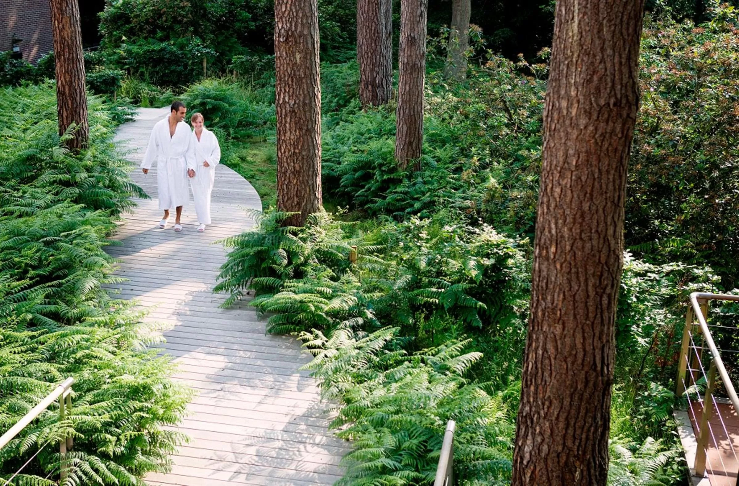 Garden in Hotel Dolce La Hulpe Brussels