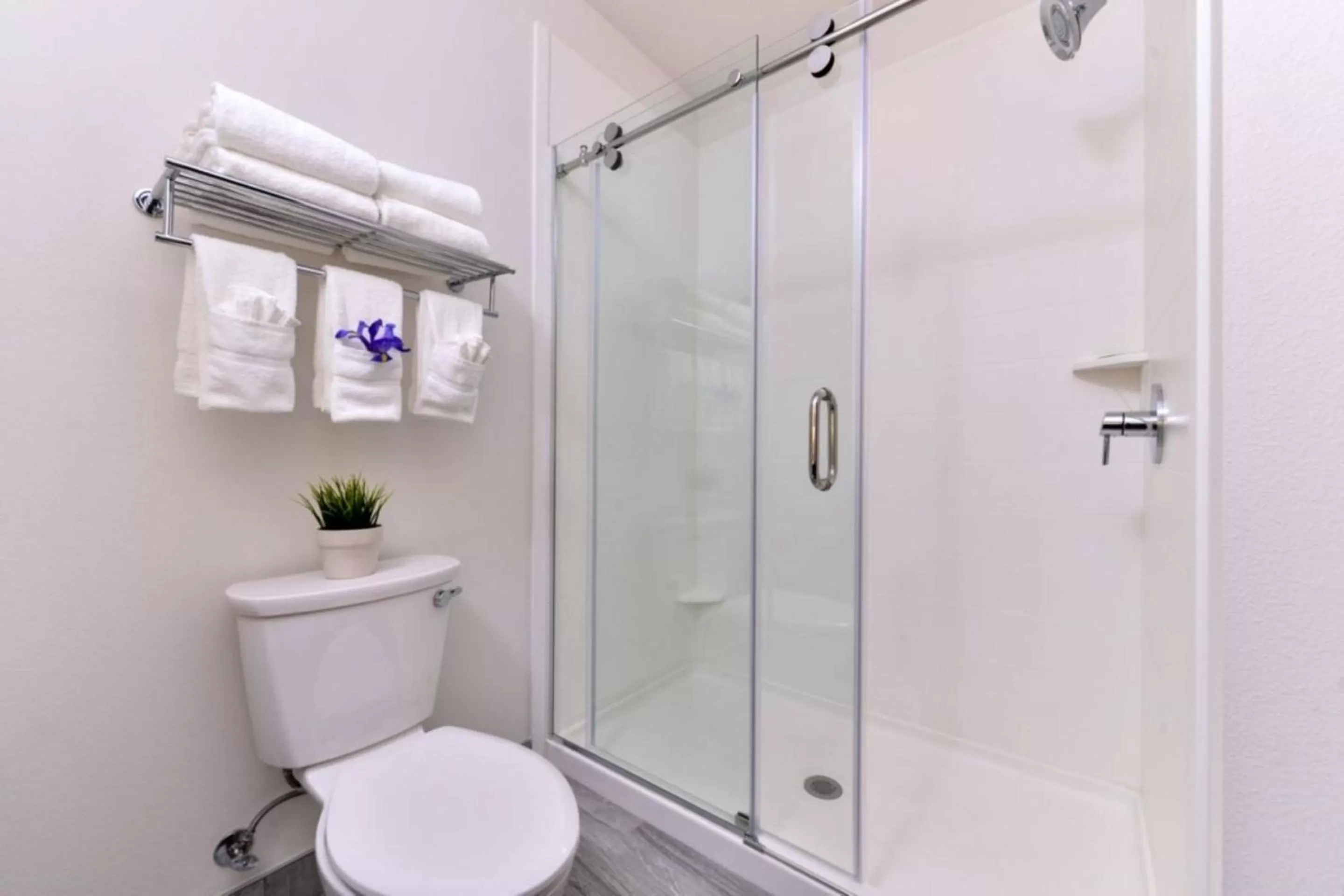 Shower in Holiday Inn Express & Suites San Diego - Mission Valley by IHG