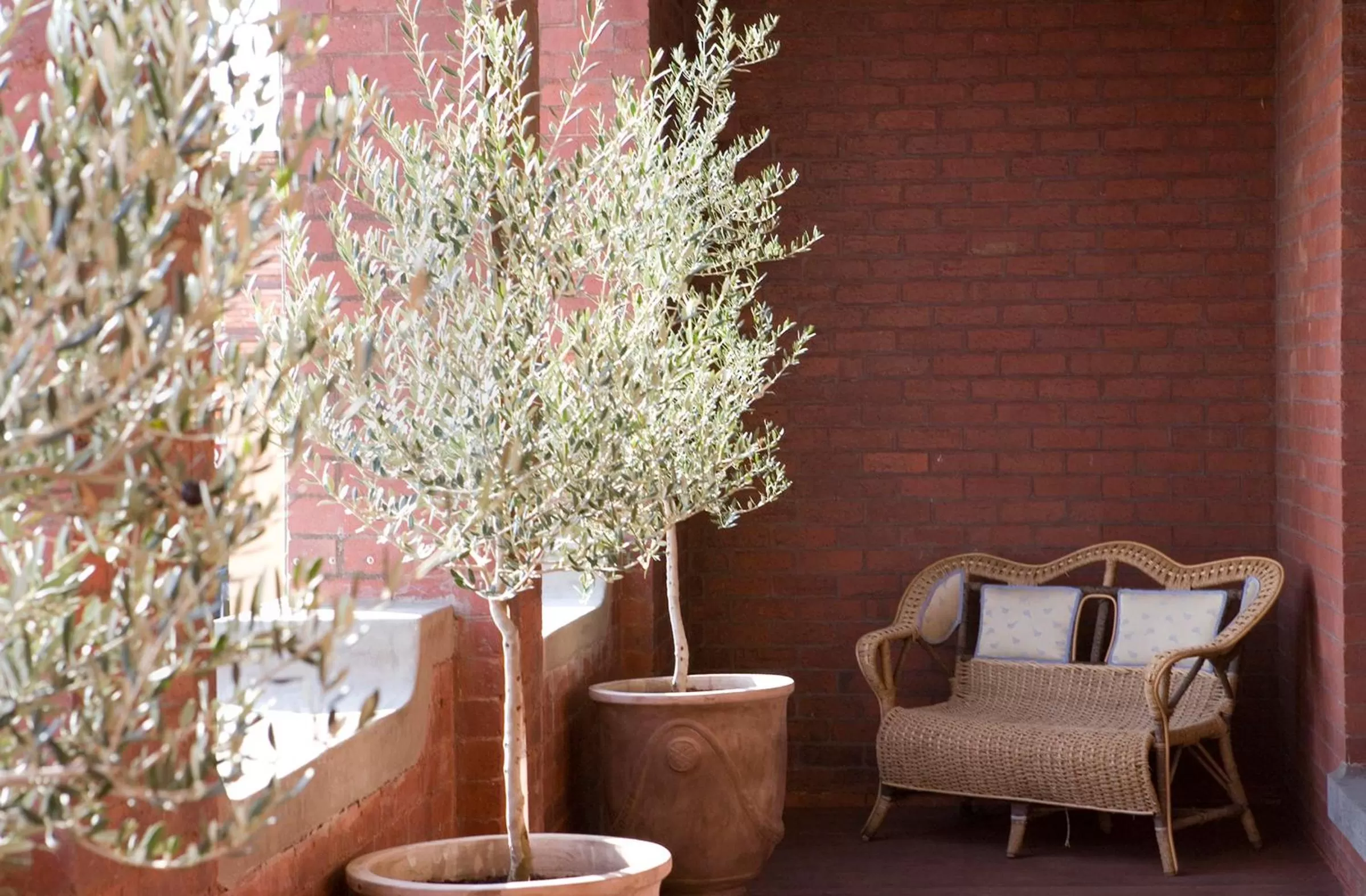 Balcony/Terrace in Mollisons
