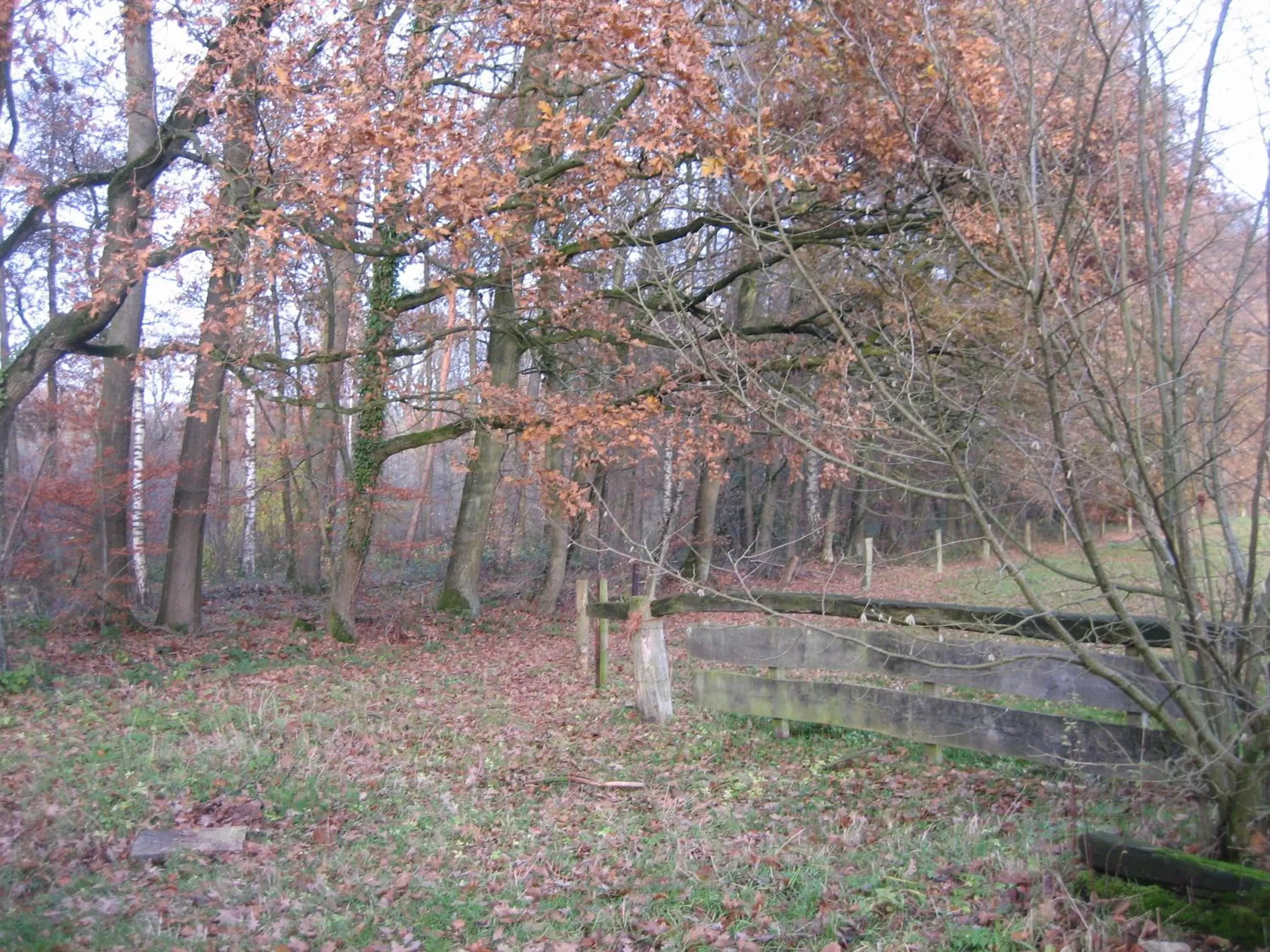 Natural landscape in Hotel Het Landhuis