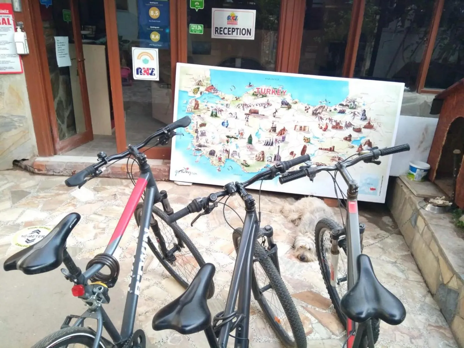 Activities in Anz Guest House Pansiyon