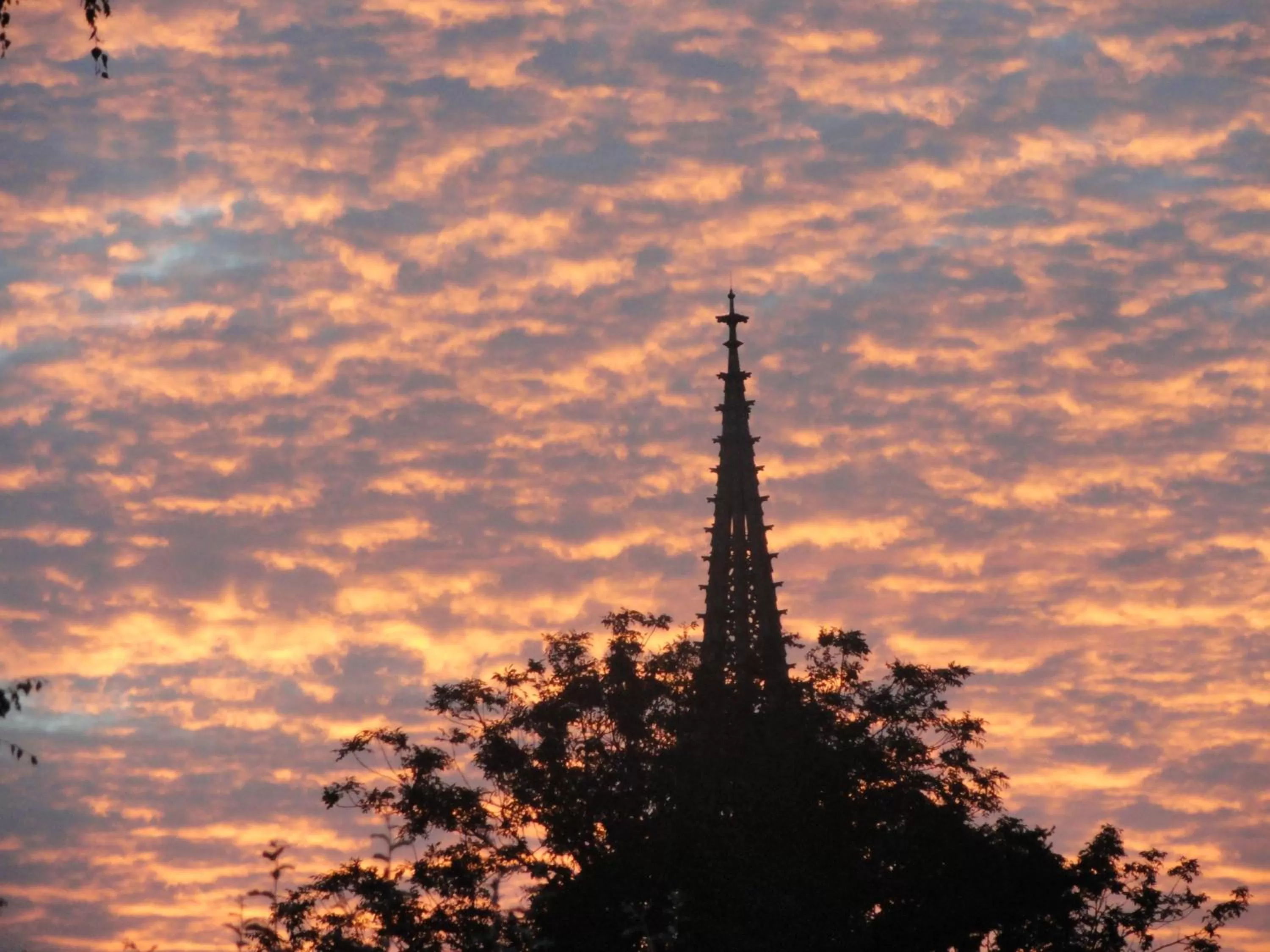 Nearby landmark in Hôtel Restaurant Le Moschenross