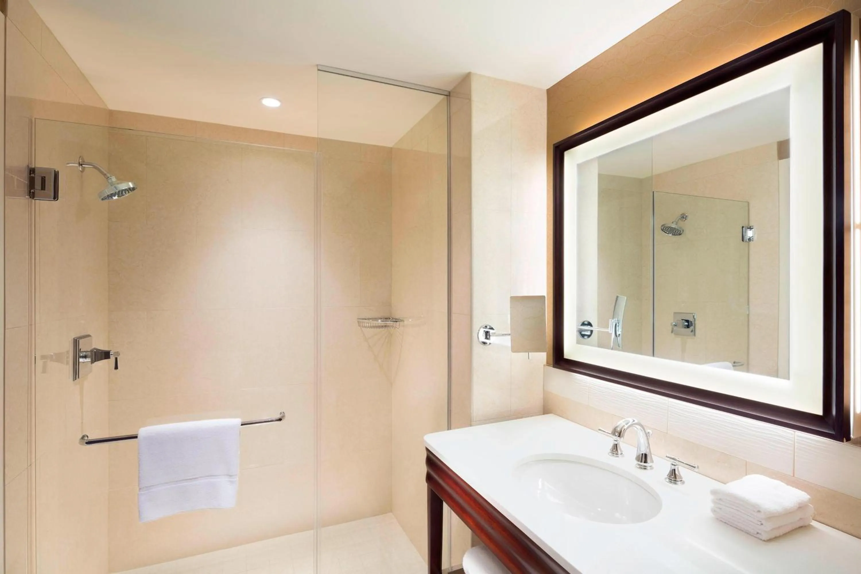 Bathroom in Sheraton Austin Georgetown Hotel & Conference Center