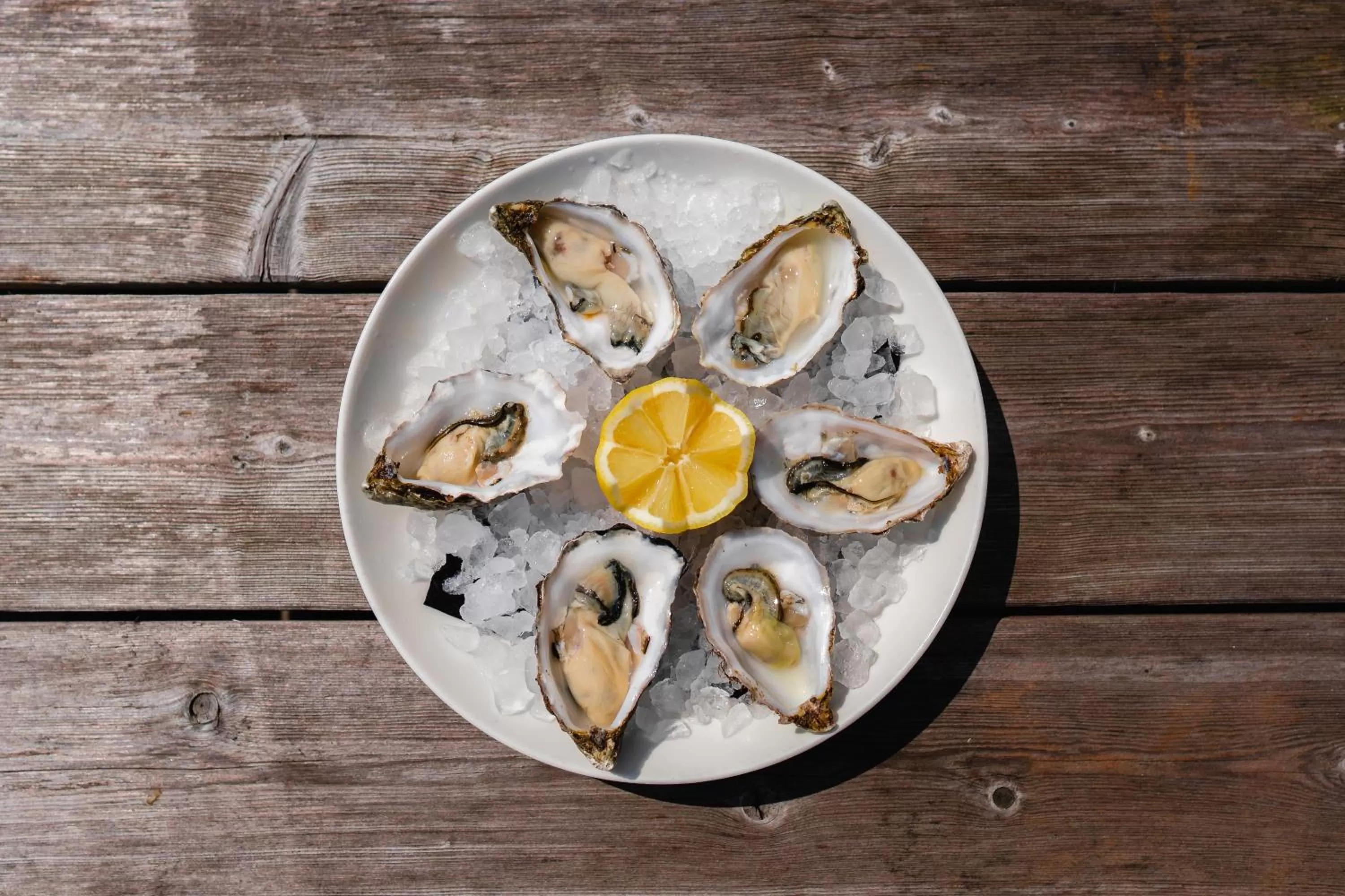 Restaurant/places to eat, Food in Hotel Brasserie Den Engel