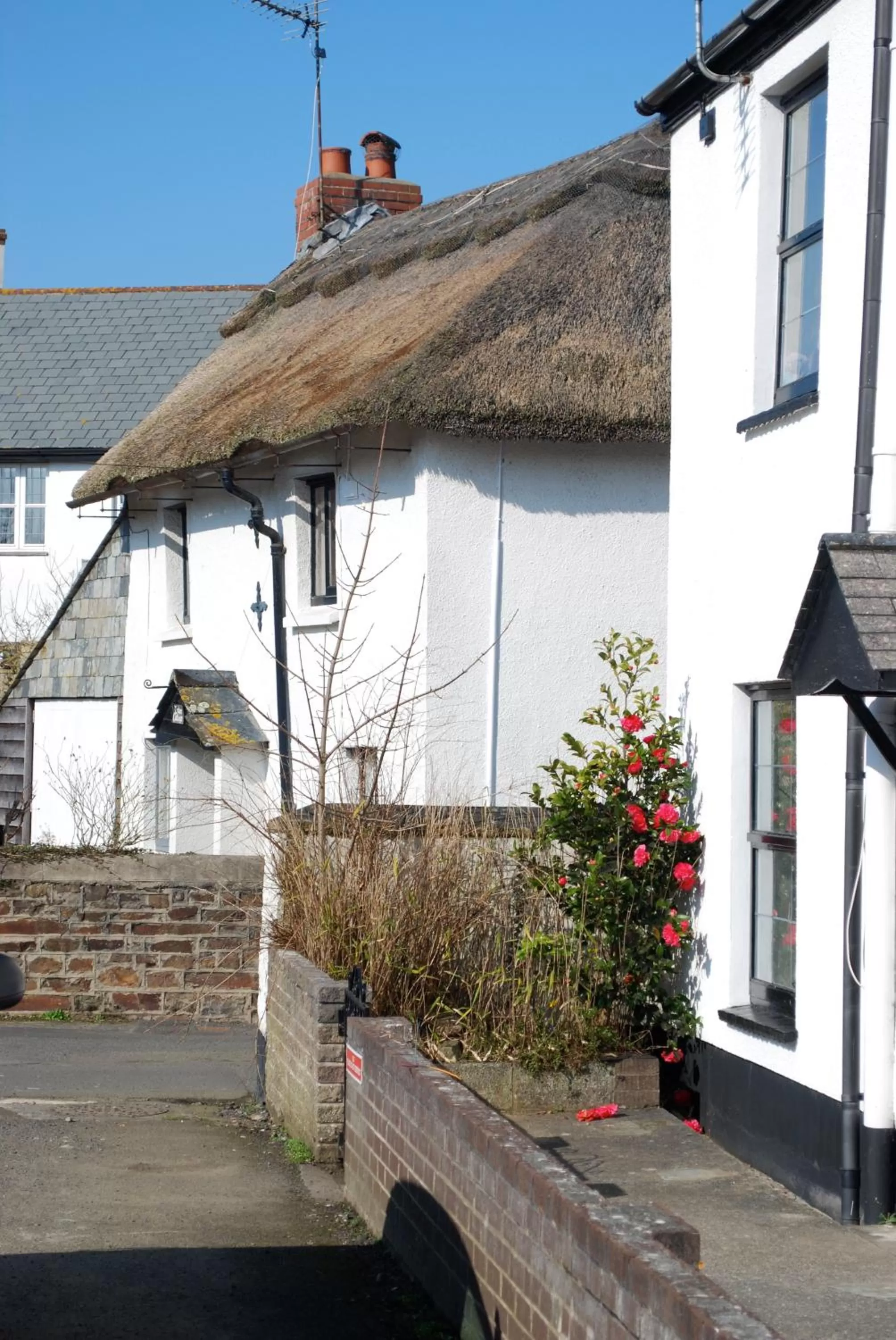 Neighbourhood in Oak Lodge B&B