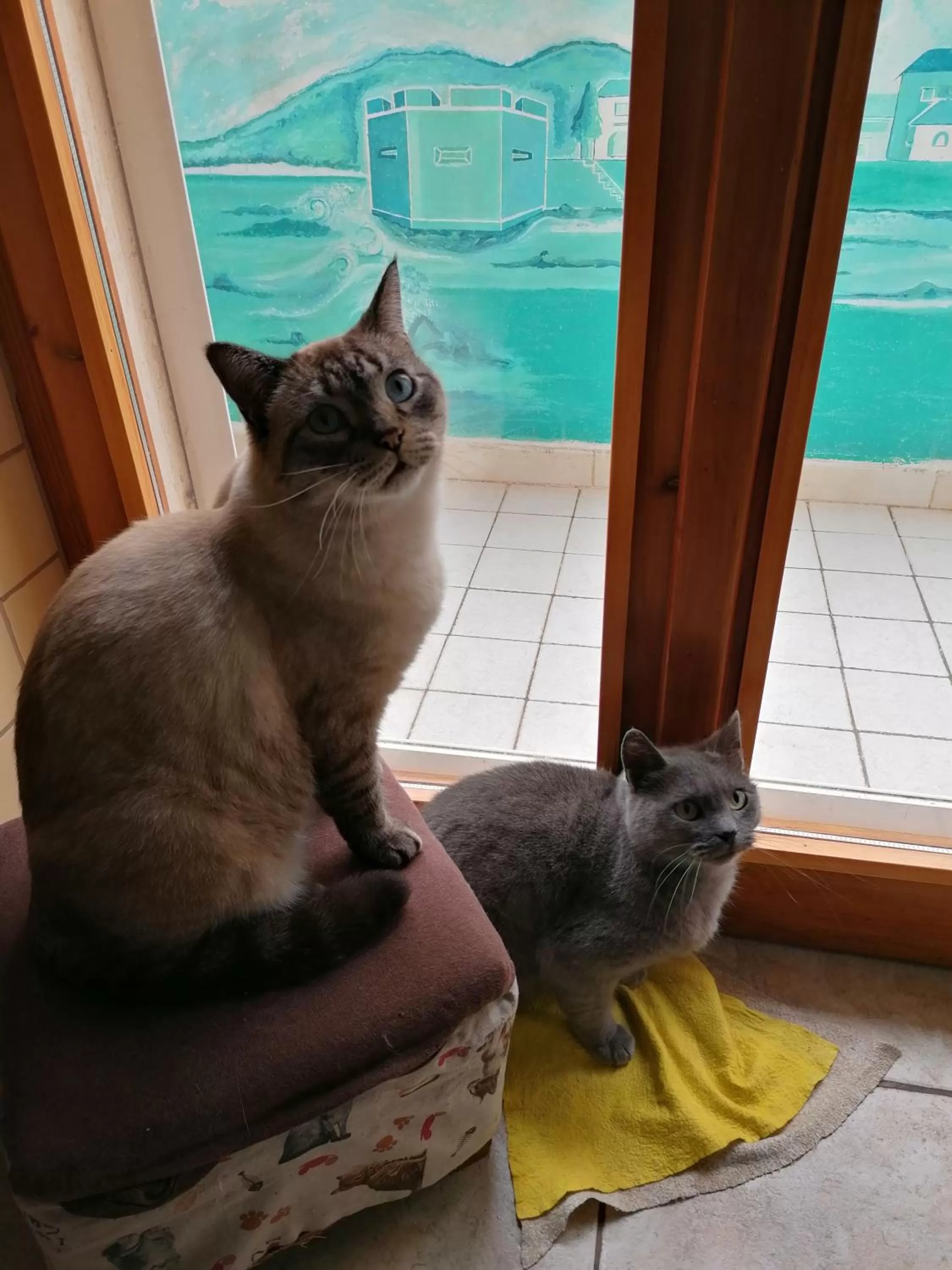 B&B Il Giardinetto Alghero