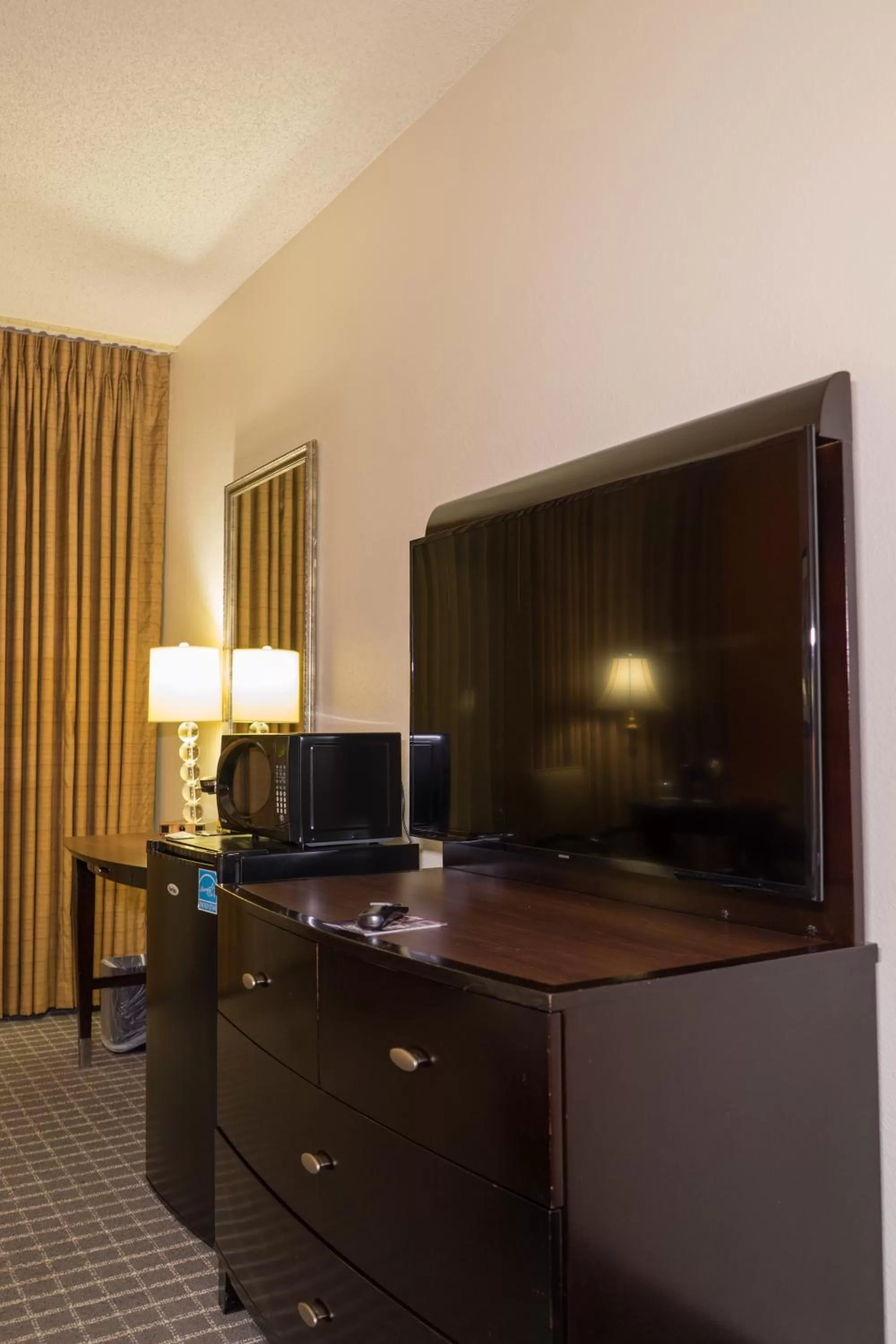 TV and multimedia in Oakland Airport Executive Hotel