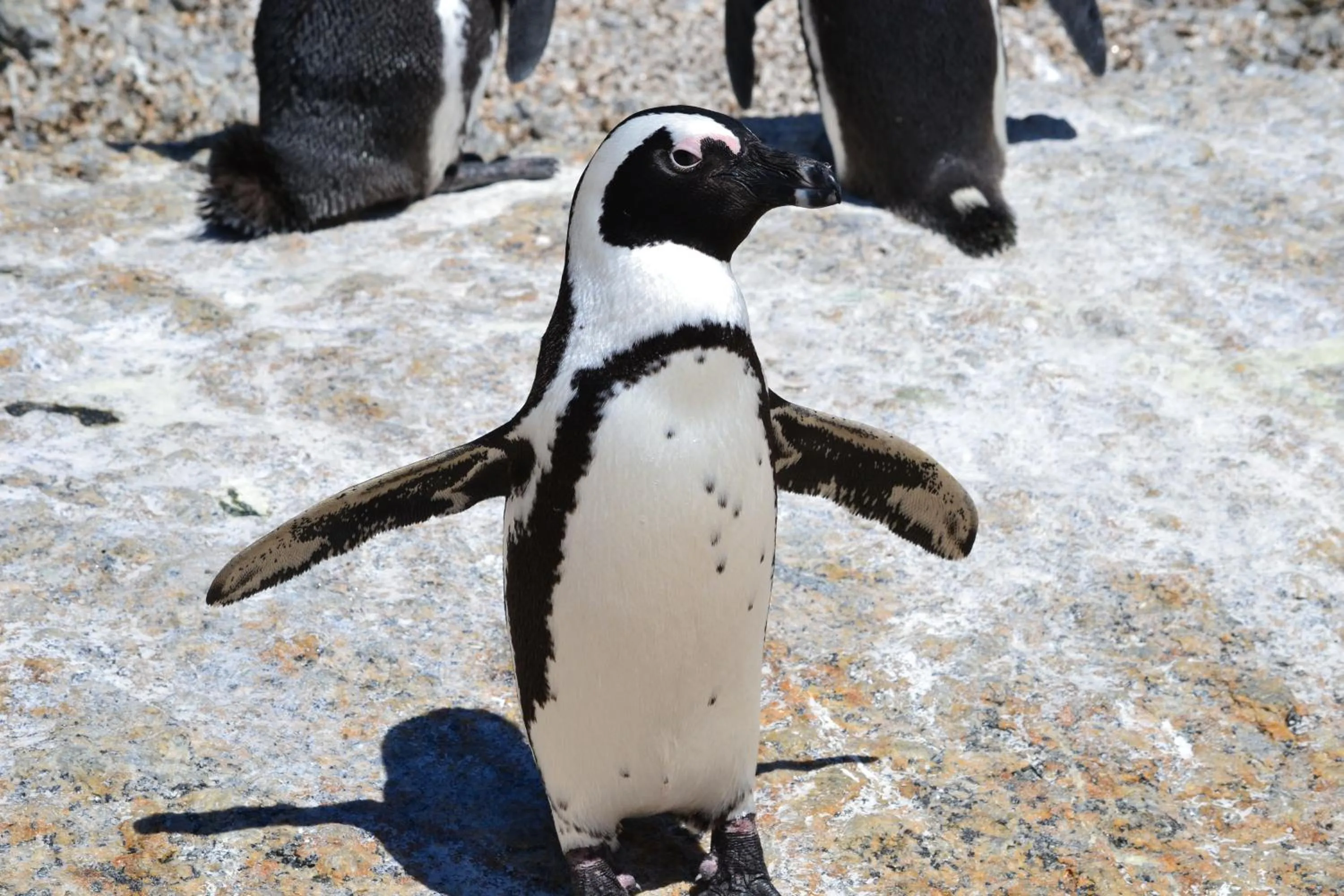 Beach in Moonglow Guesthouse