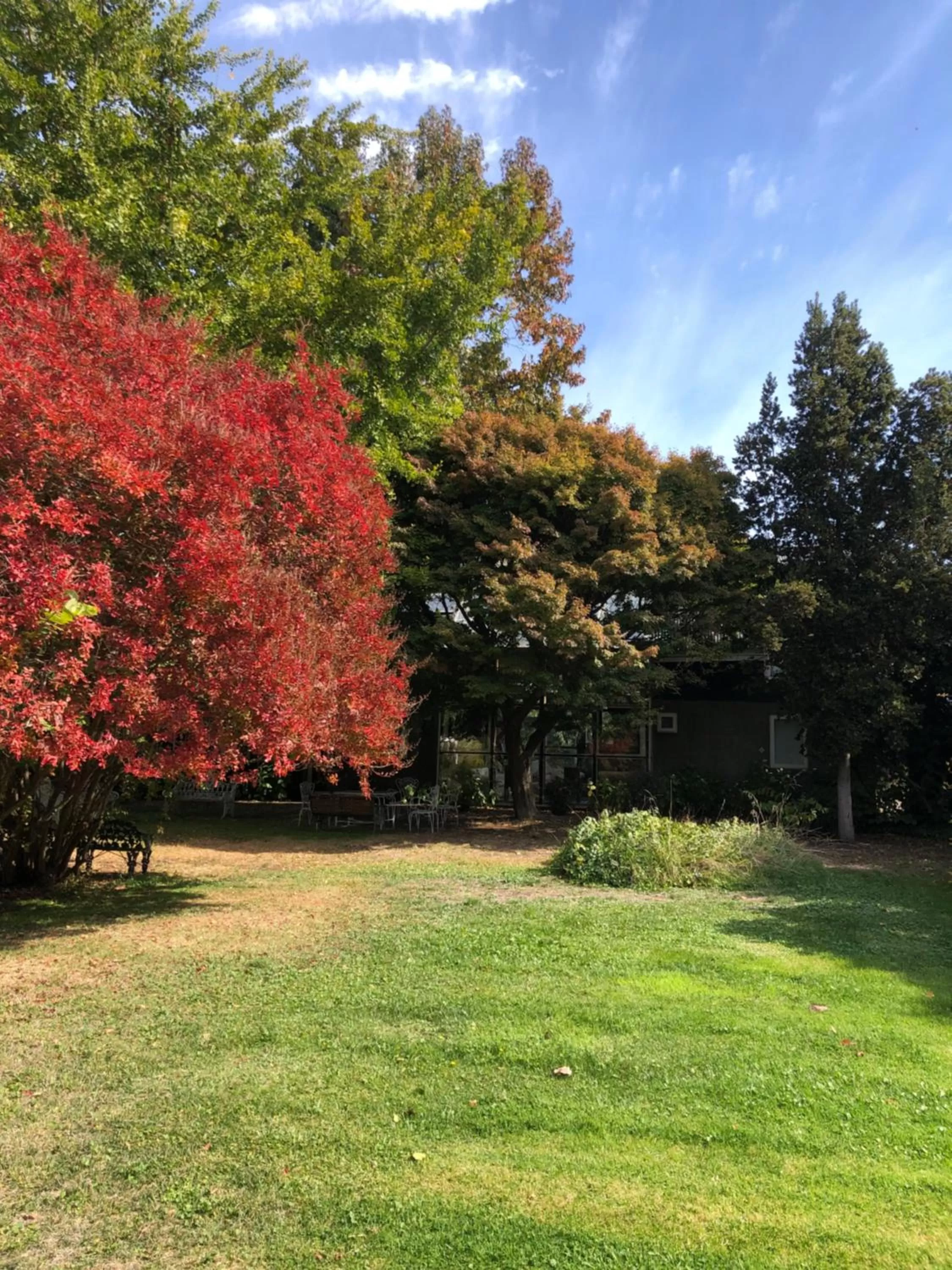 Family Orchard Bed & Breakfast