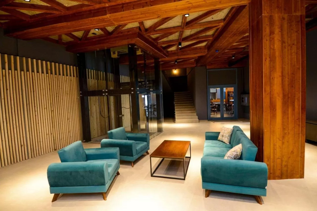 Lounge/Bar in Bakuriani the Valley 115 - 202