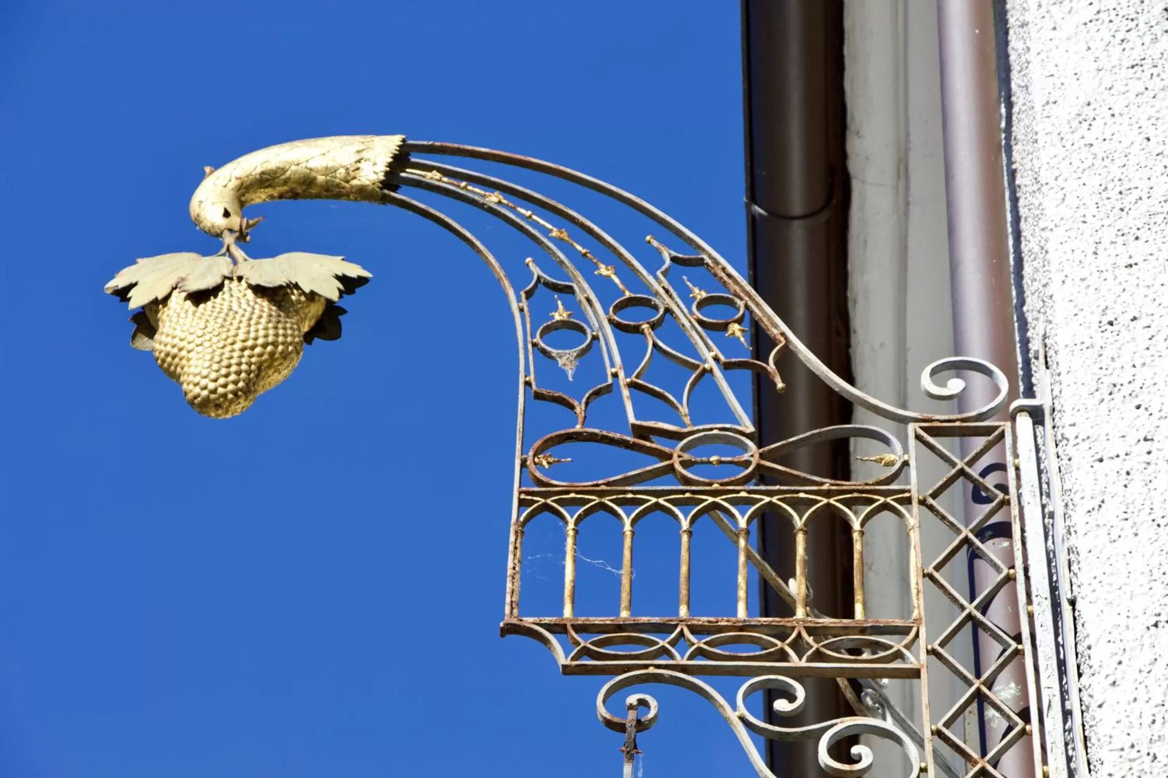 Property logo or sign in Hotel Goldene Traube