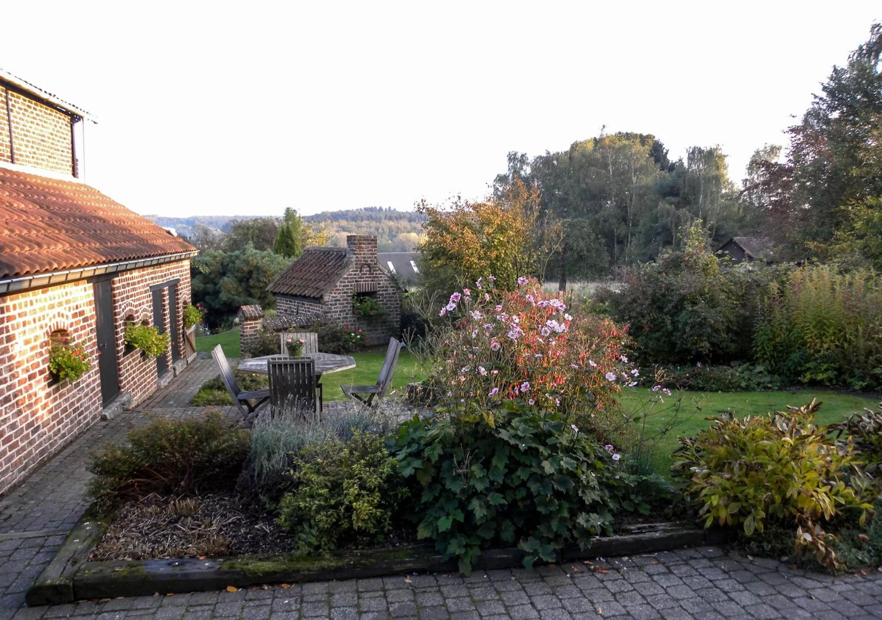 Natural landscape in B&B Plattestien