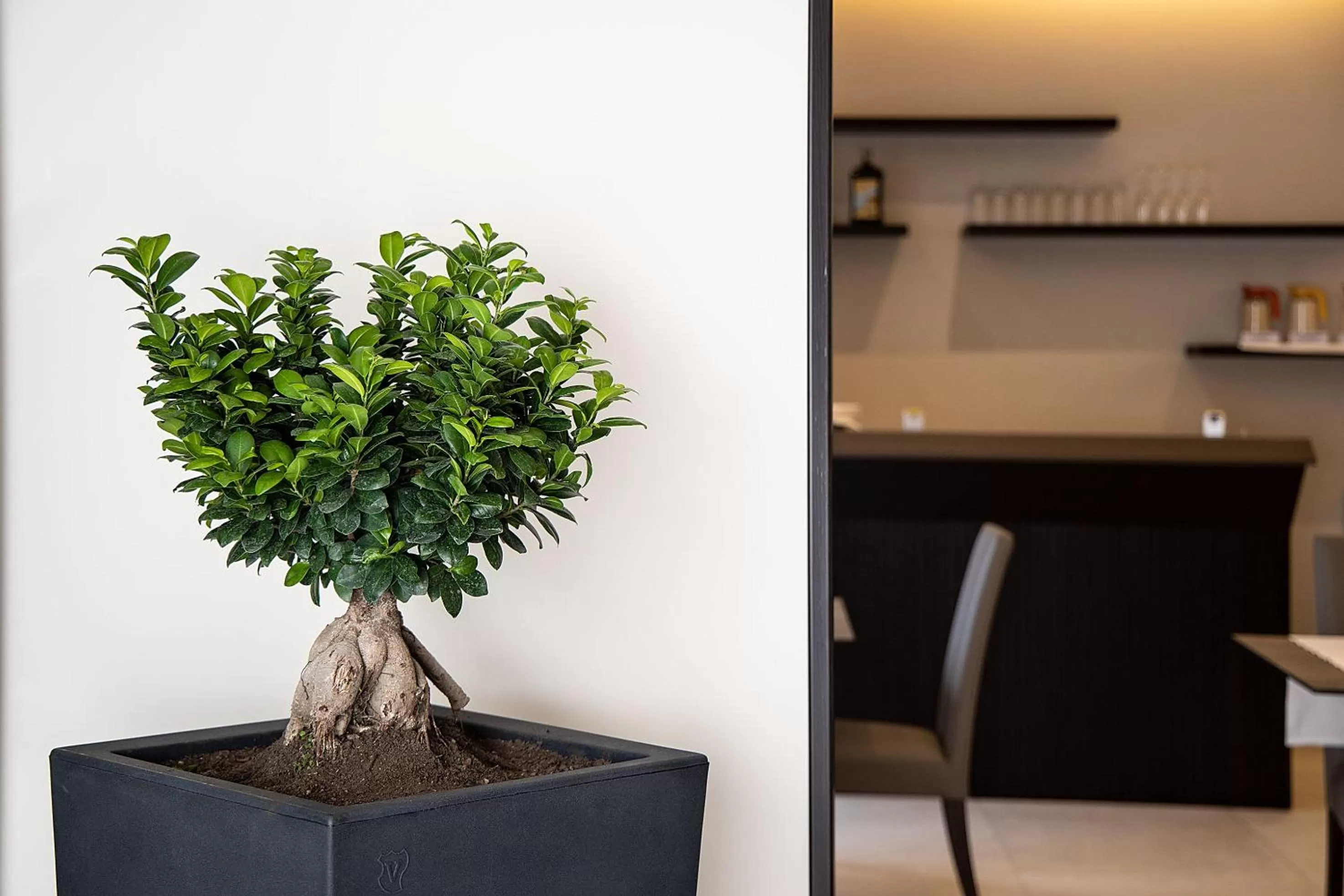 Hotel Palazzo Argenta