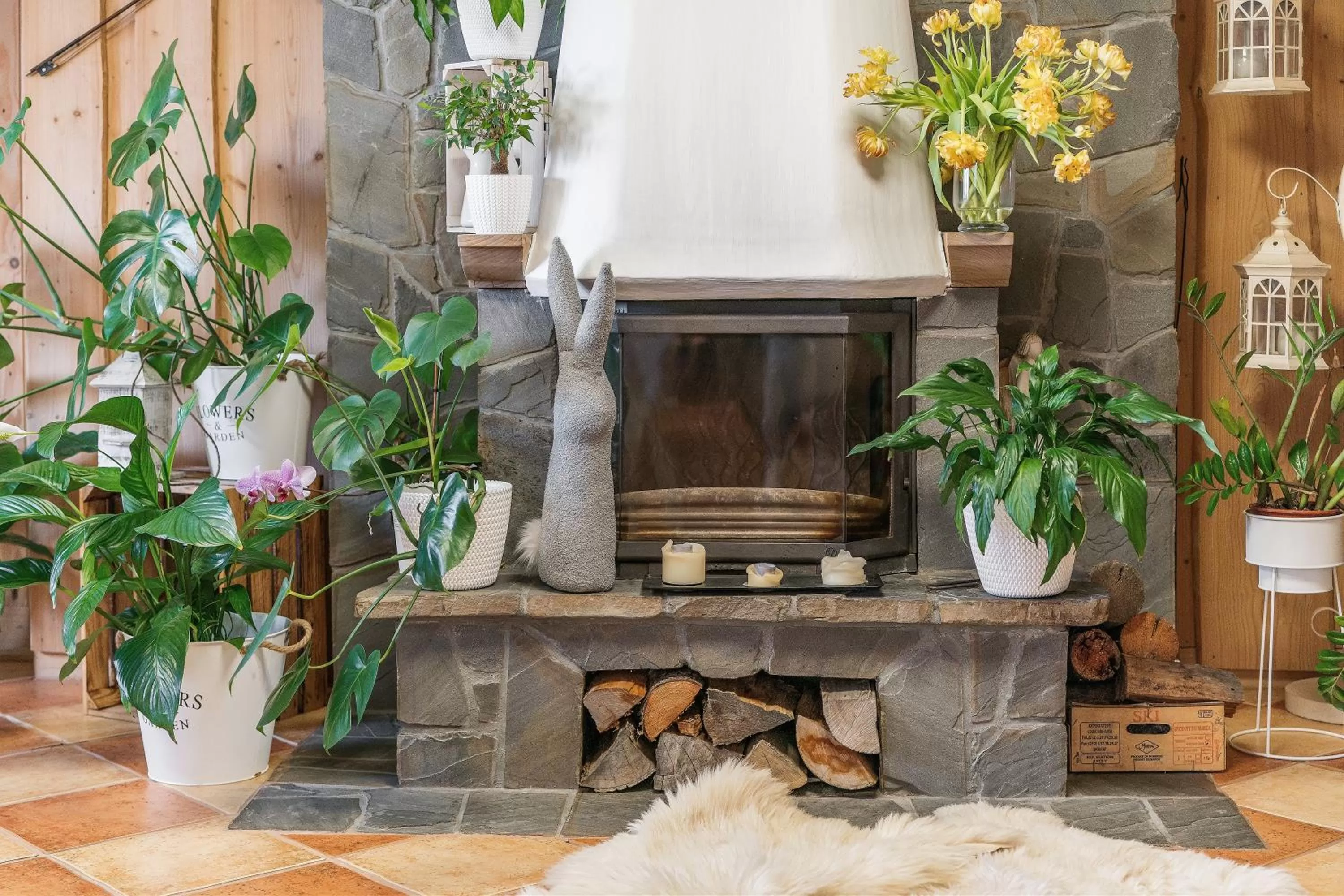 flat iron in Pokoje Gościnne U Małgorzaty Jacuzzi & Sauna