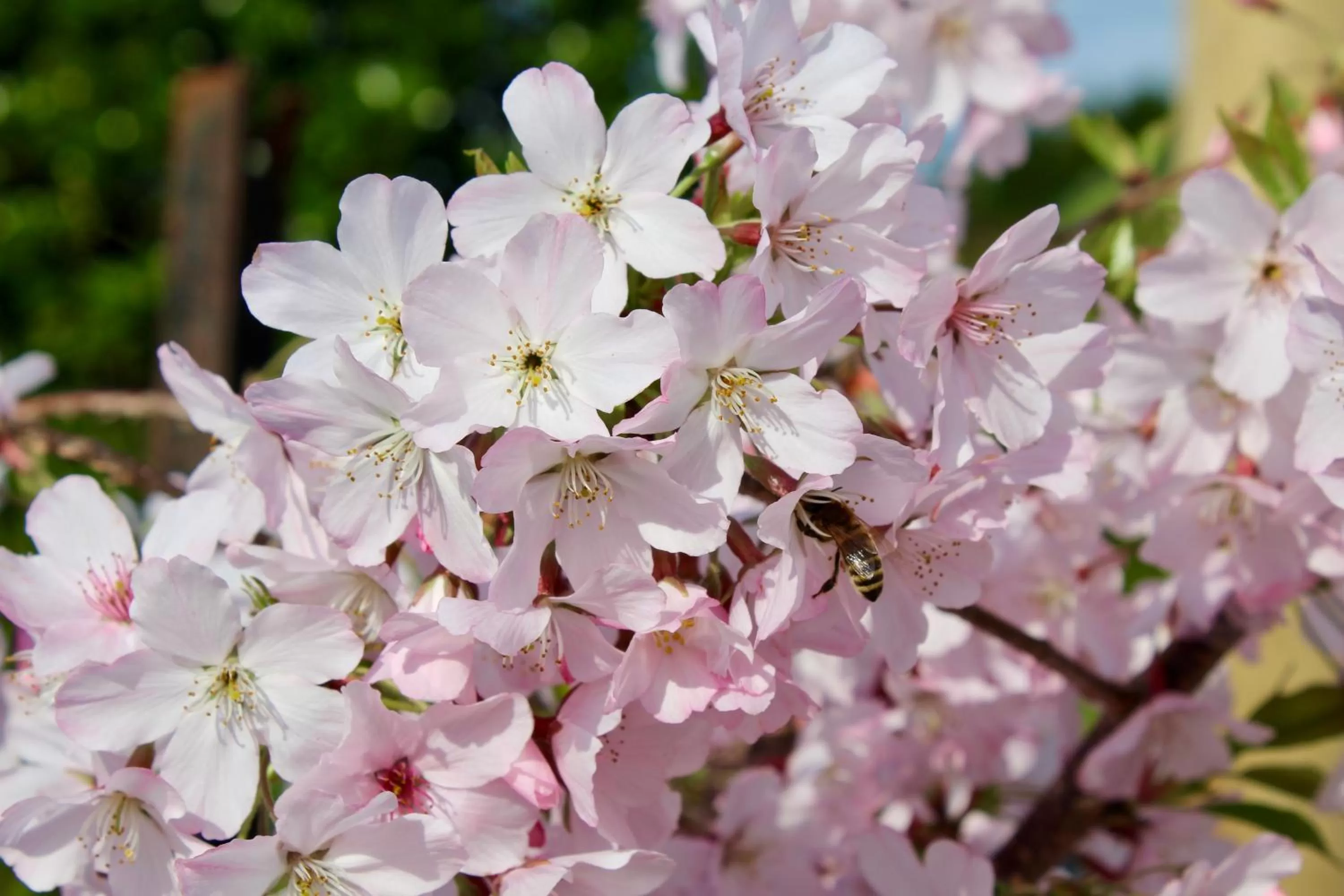 Property building in Arohanui Rural Retreat B&B