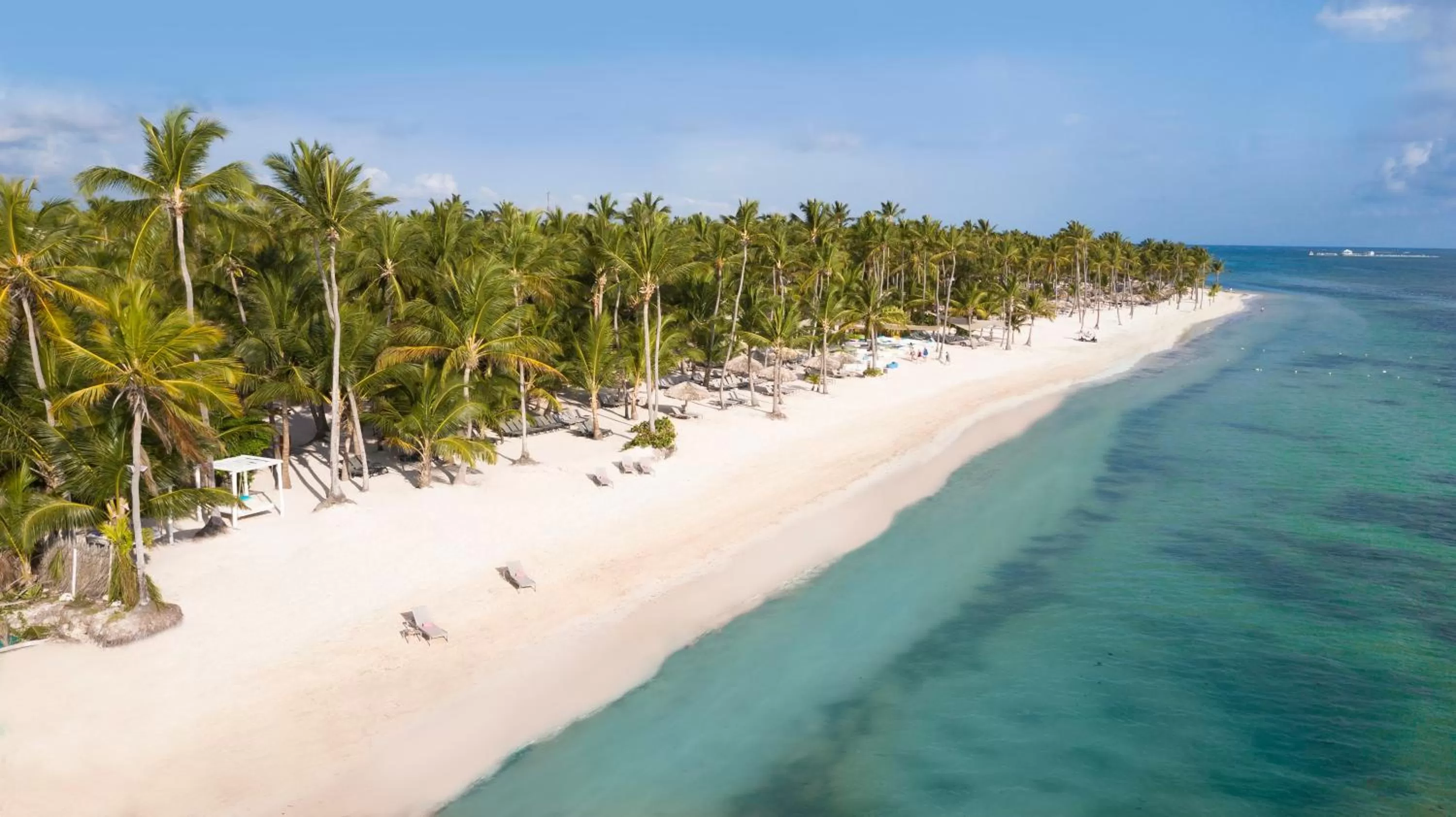 Bird's eye view in Catalonia Royal Bavaro - All Inclusive - Adults Only