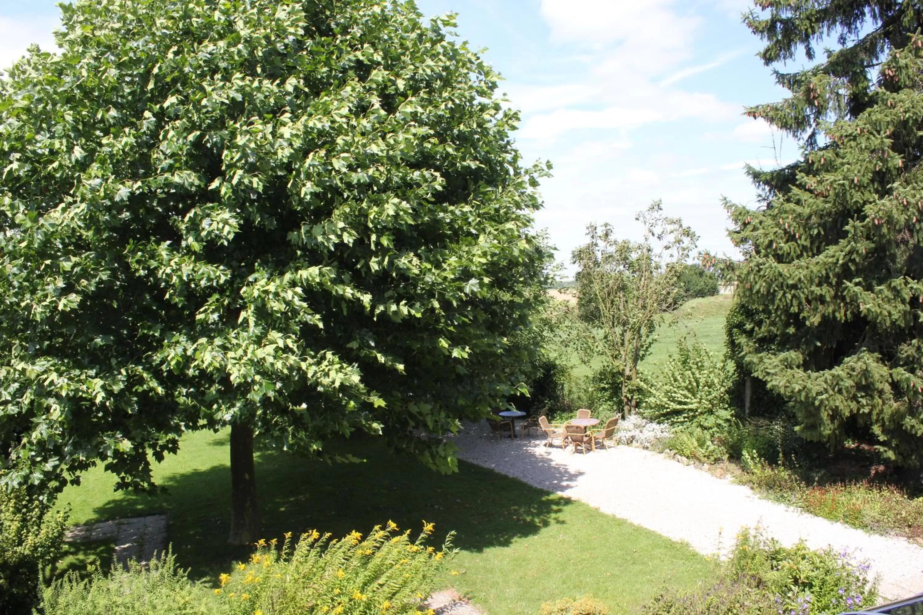 Garden in Hotel Brull