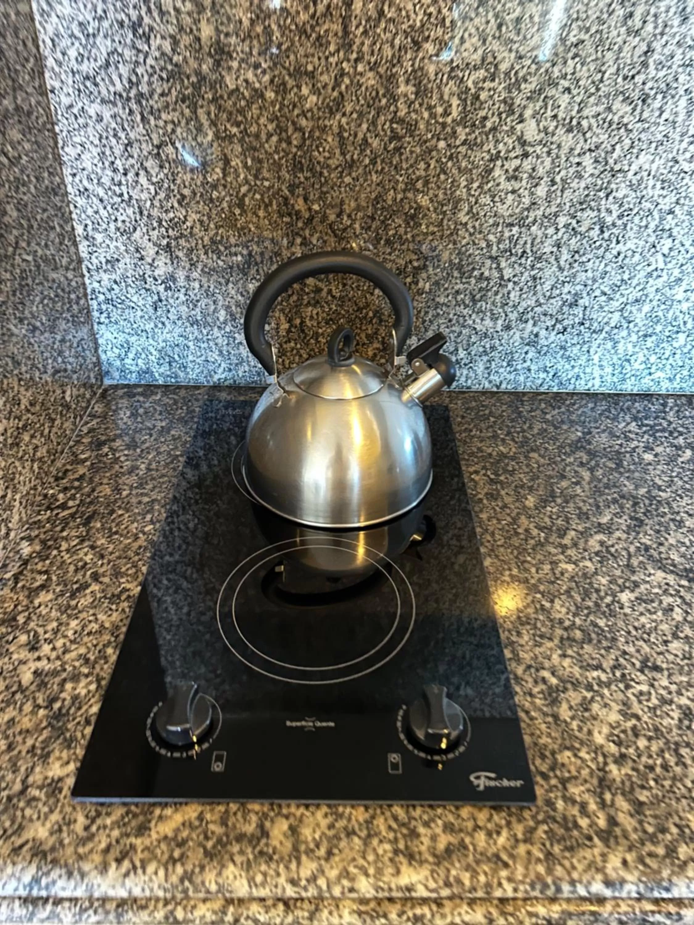 Kitchen or kitchenette, Kitchen/Kitchenette in Golfinhos Apart Hotel