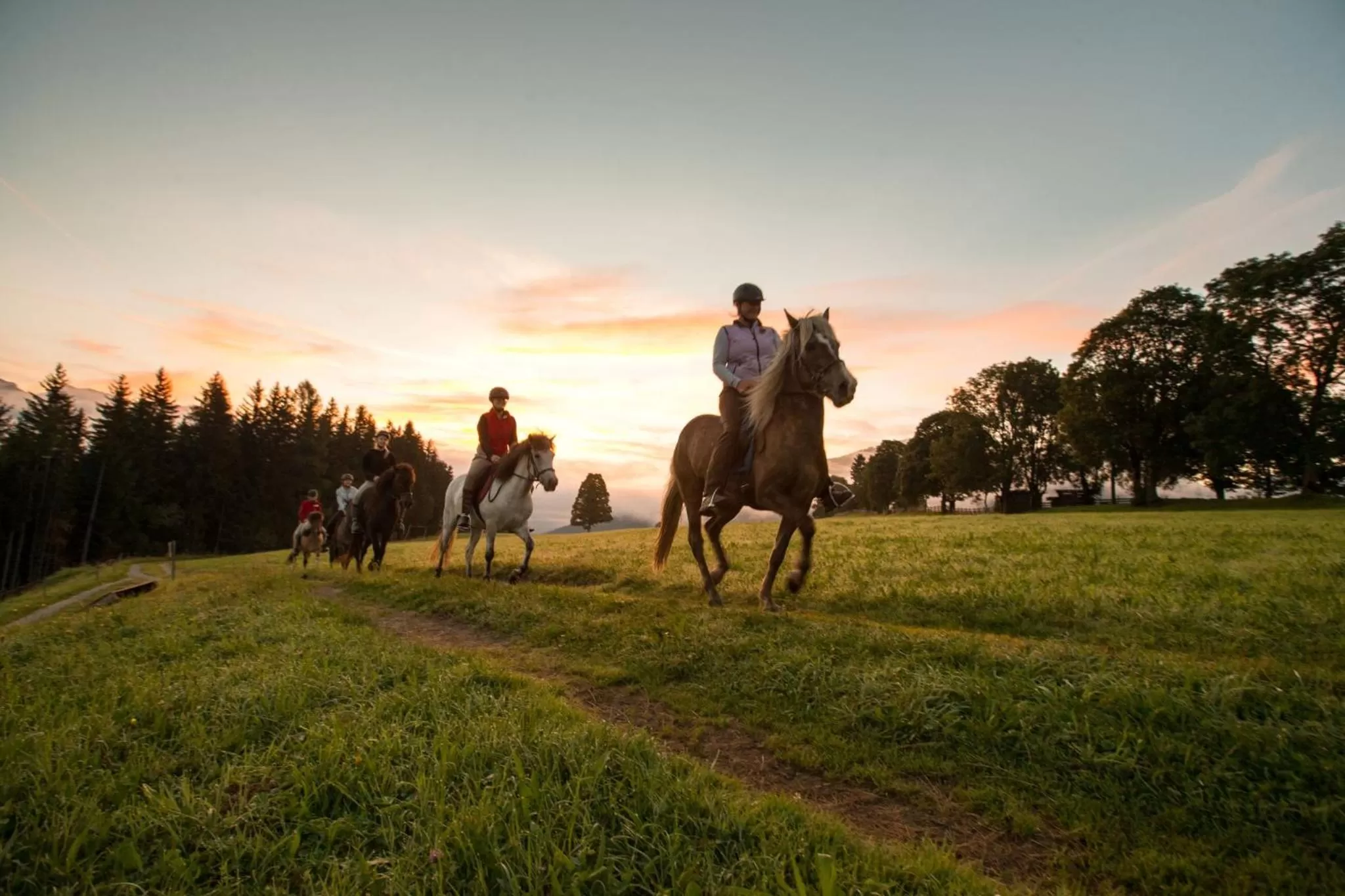 Horse-riding, Horseback Riding in Seiterhof