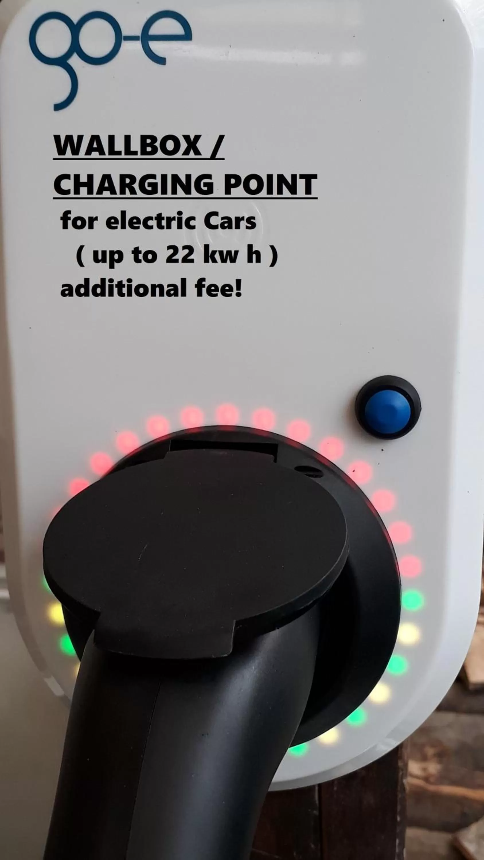 Activities in Sonnenhof