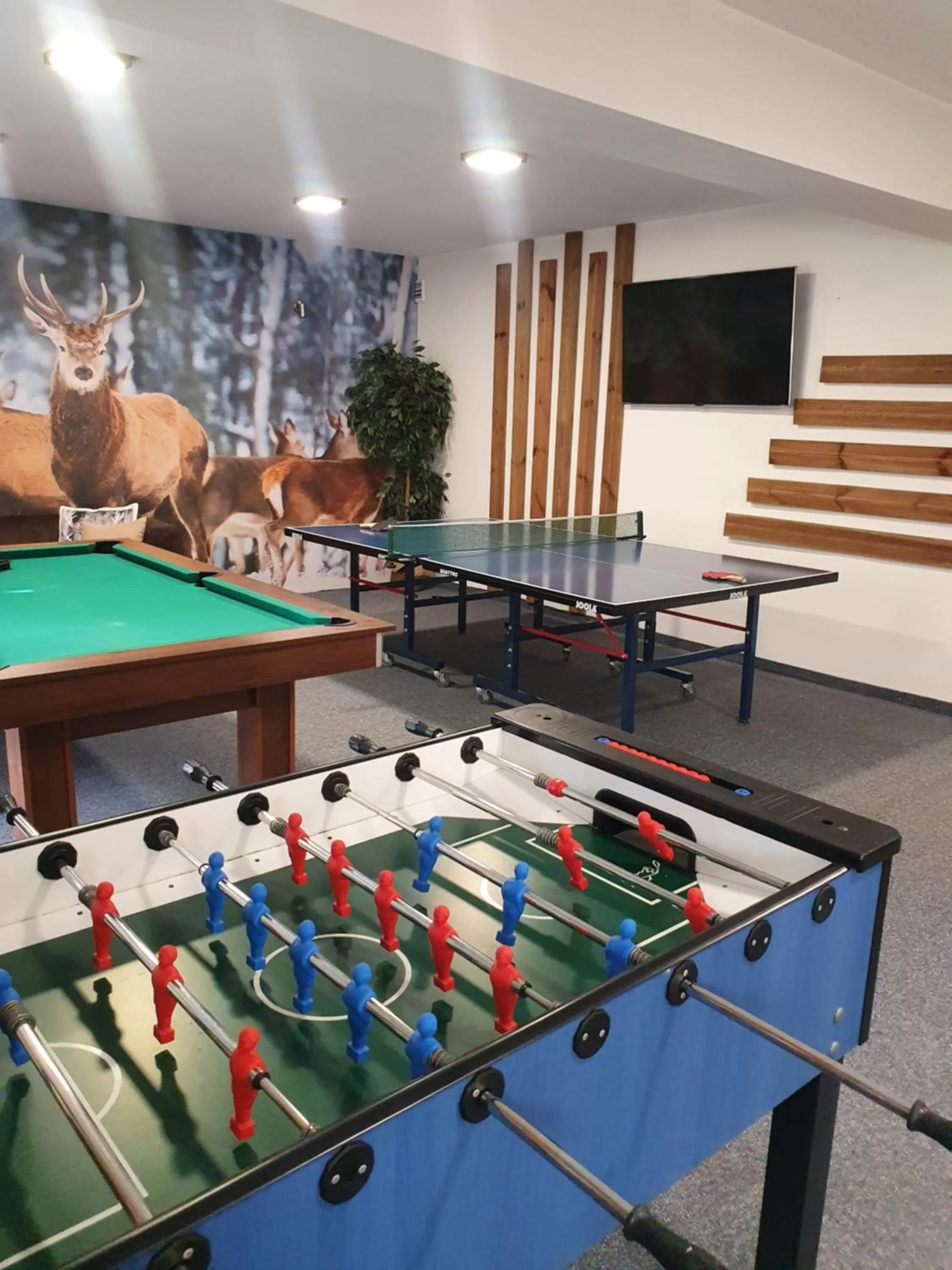 Billiard, Billiards in Dom Wypoczynkowy Stokrotka