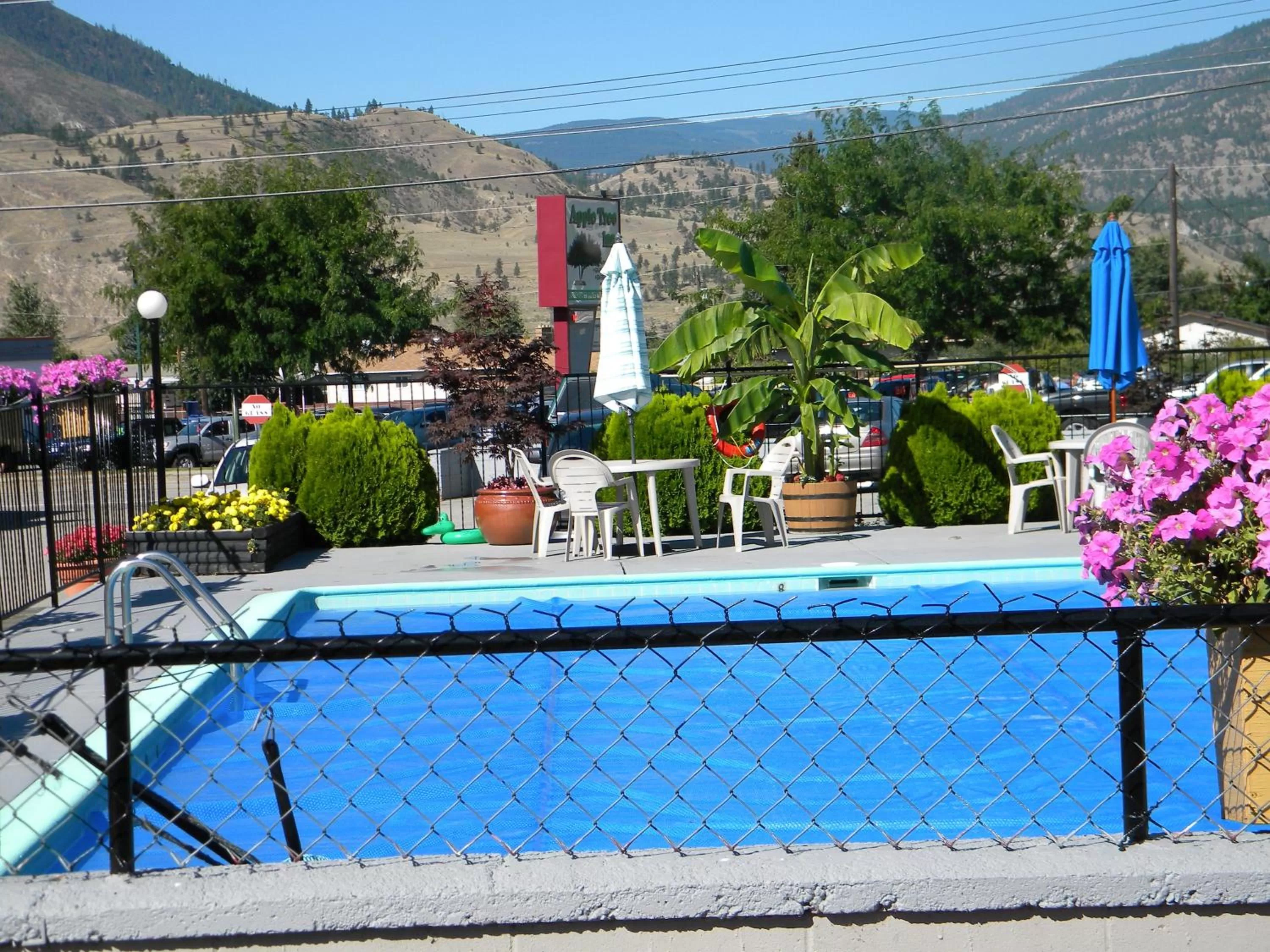 Swimming pool in Apple Tree Inn