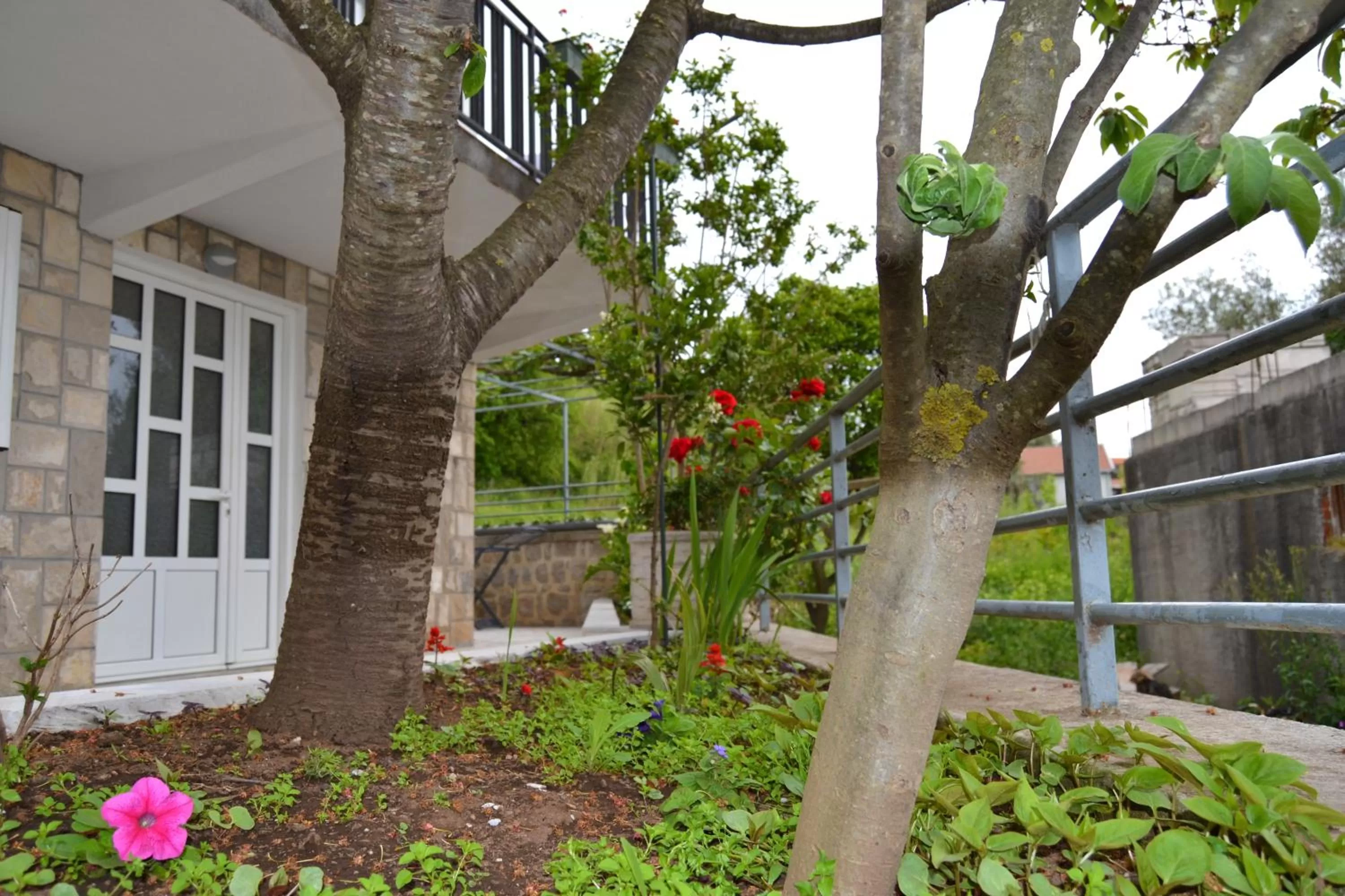 Patio in Tivat Apartments