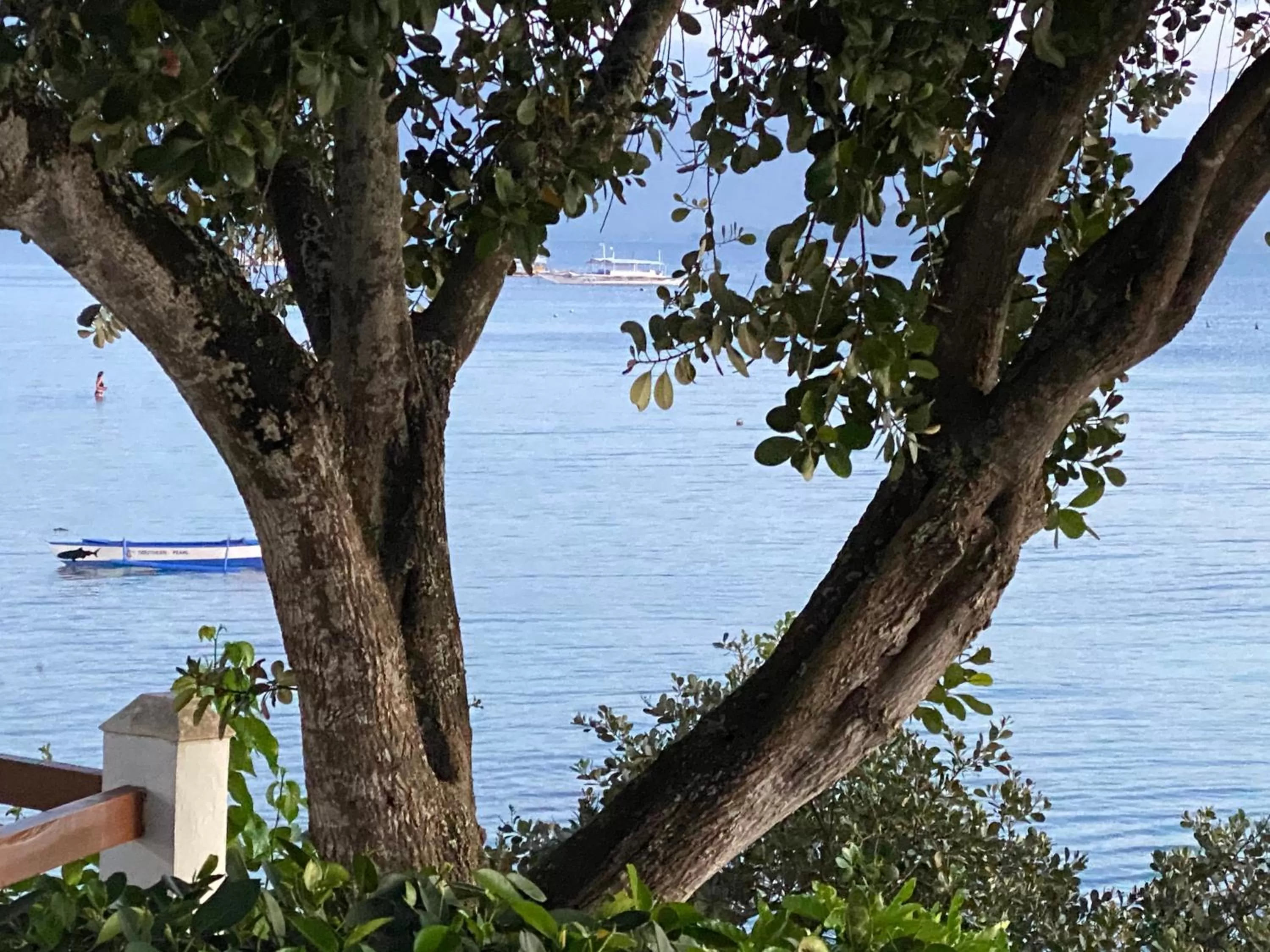 Sea view in Pescador View - Beachfront ,Extensions & nearby the Ocean Hostels & Restaurant Moalboal