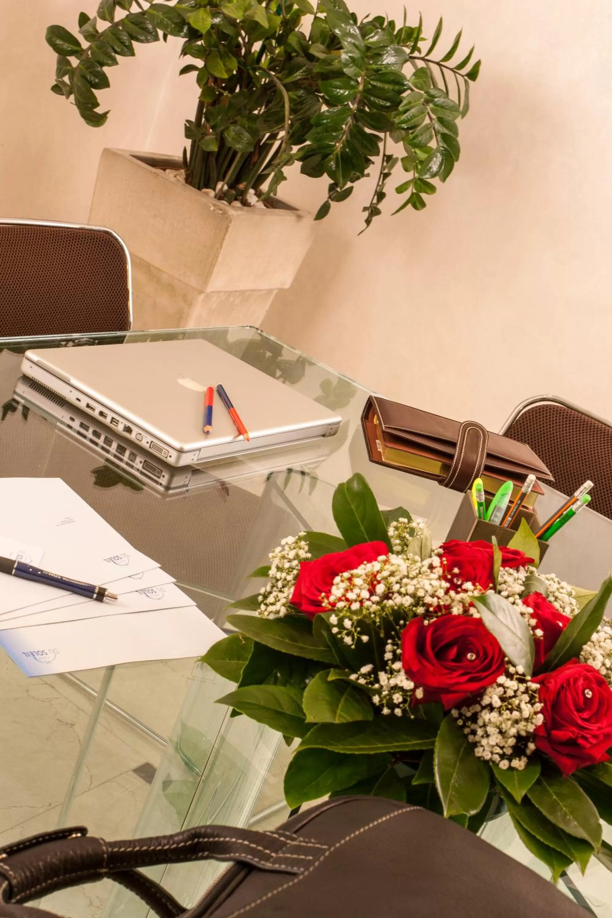 Business facilities in Hotel Du Soleil