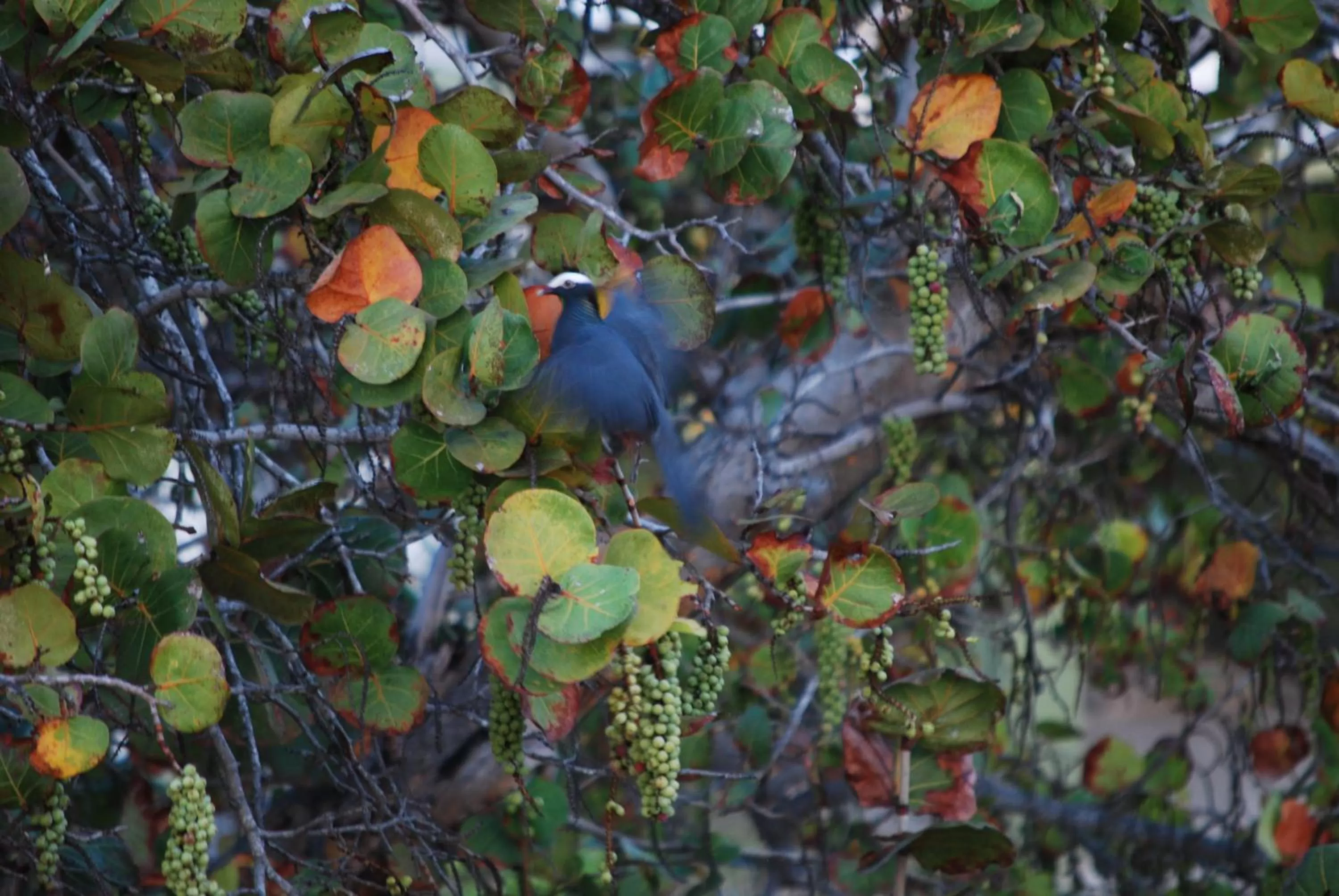 Other in Home Sweet Home Resort