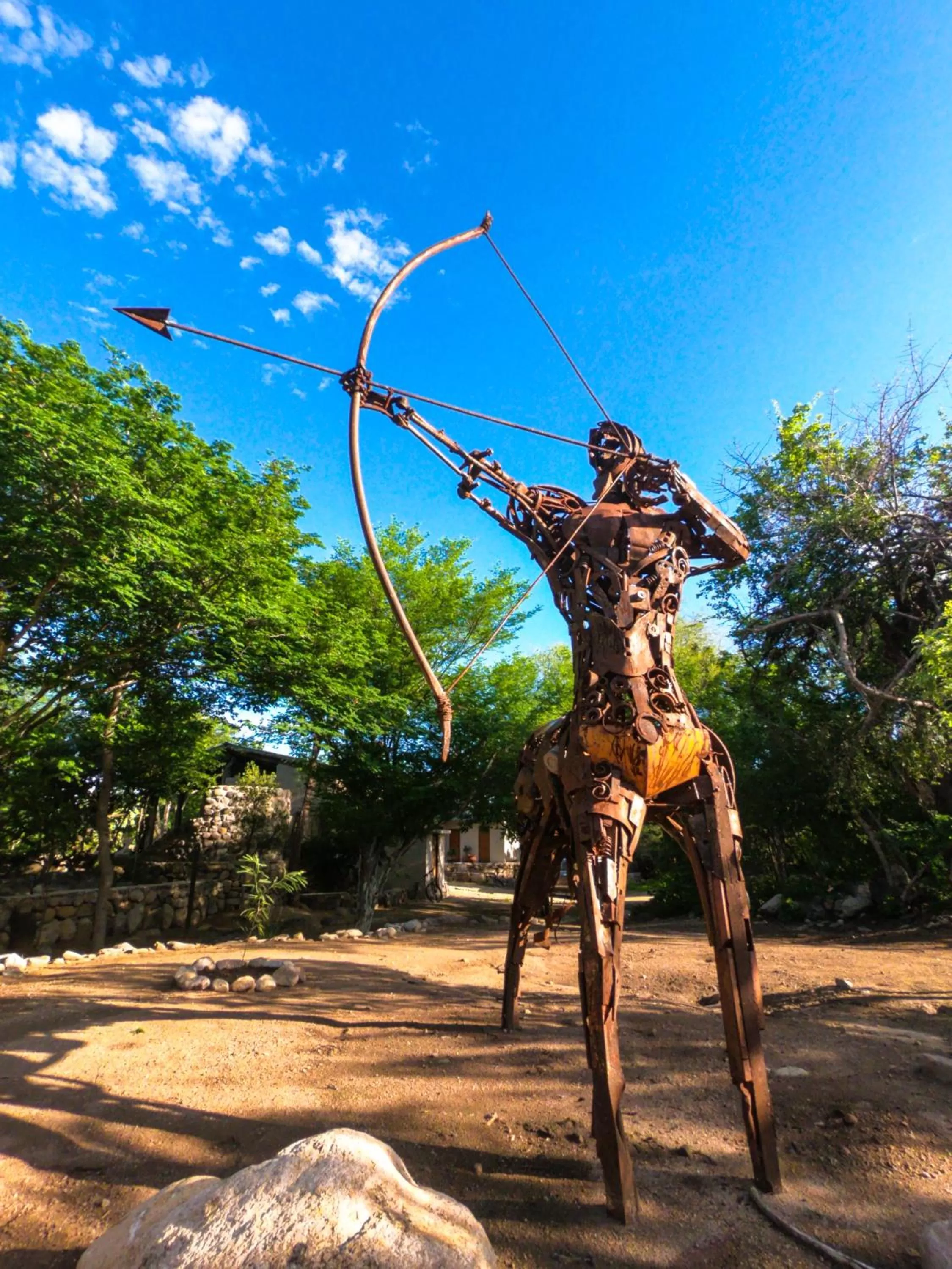 Garden in El Pedregal - Hotel en la Naturaleza