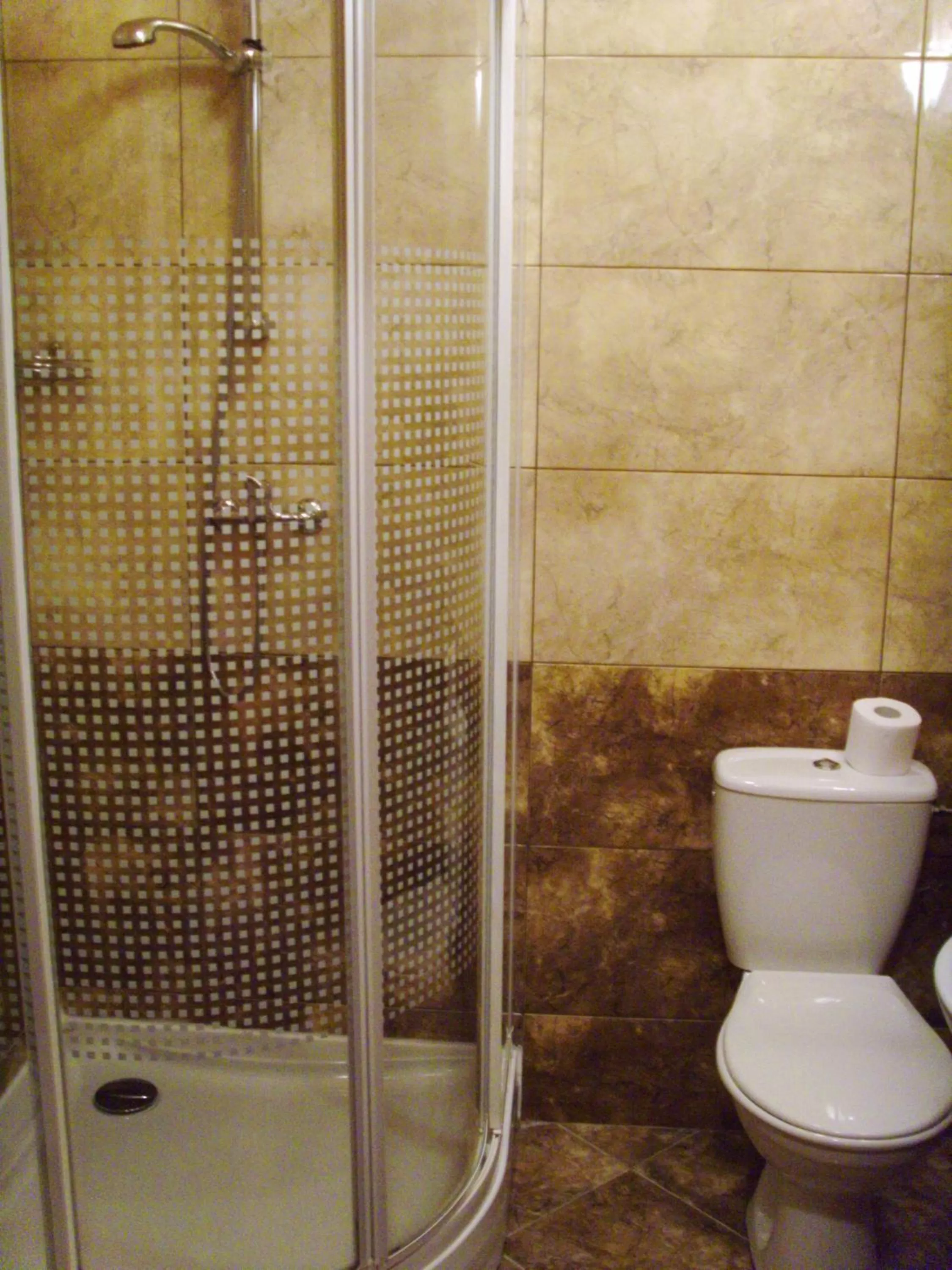 Shower, Bathroom in Hotel Iskra