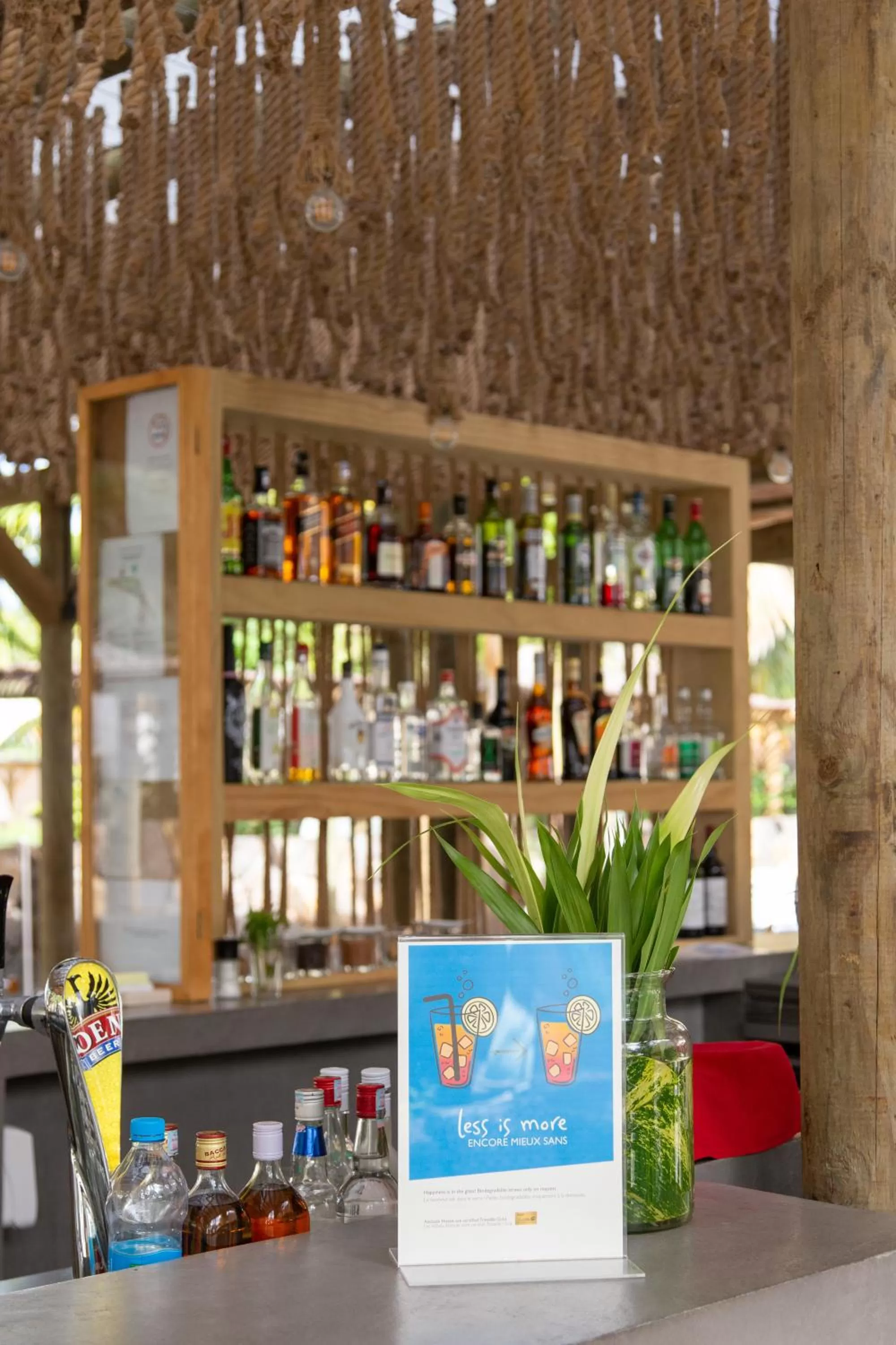 Lounge or bar in Coin de Mire Attitude